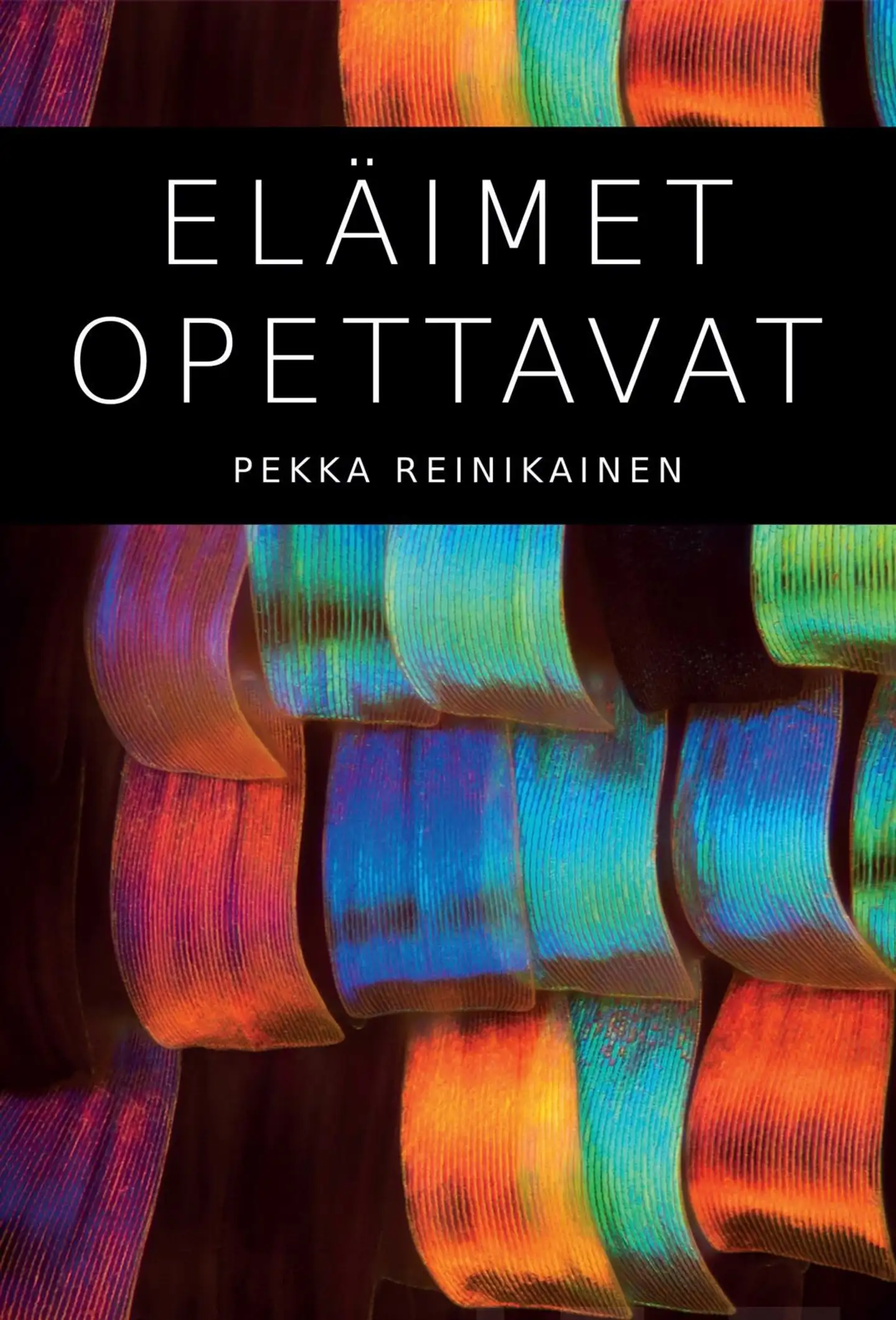 Reinikainen, Eläimet opettavat