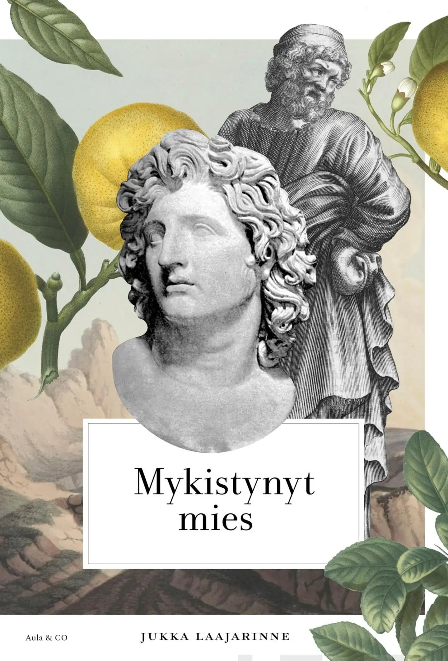 Laajarinne, Mykistynyt mies