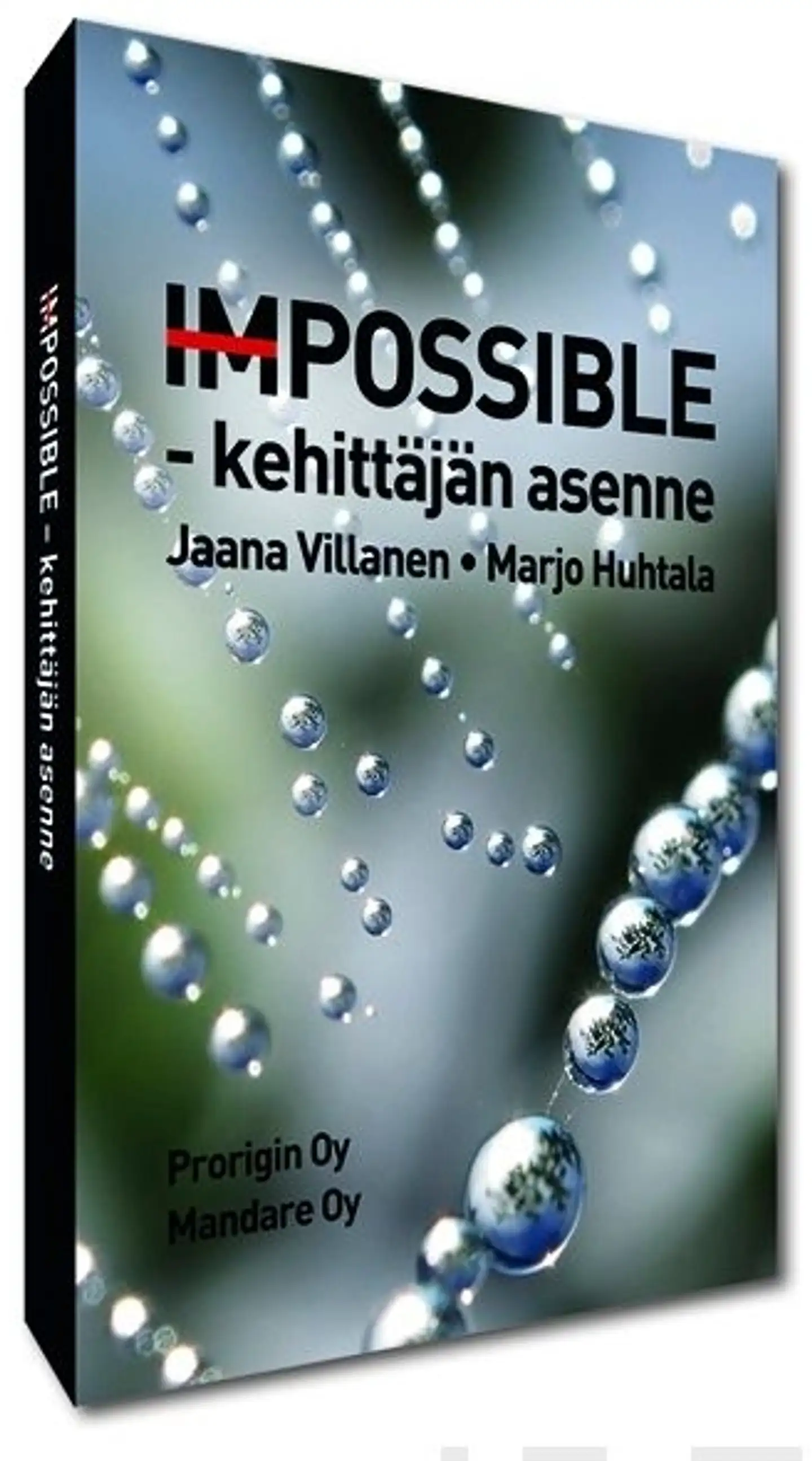 Villanen, Impossible - Kehittäjän asenne