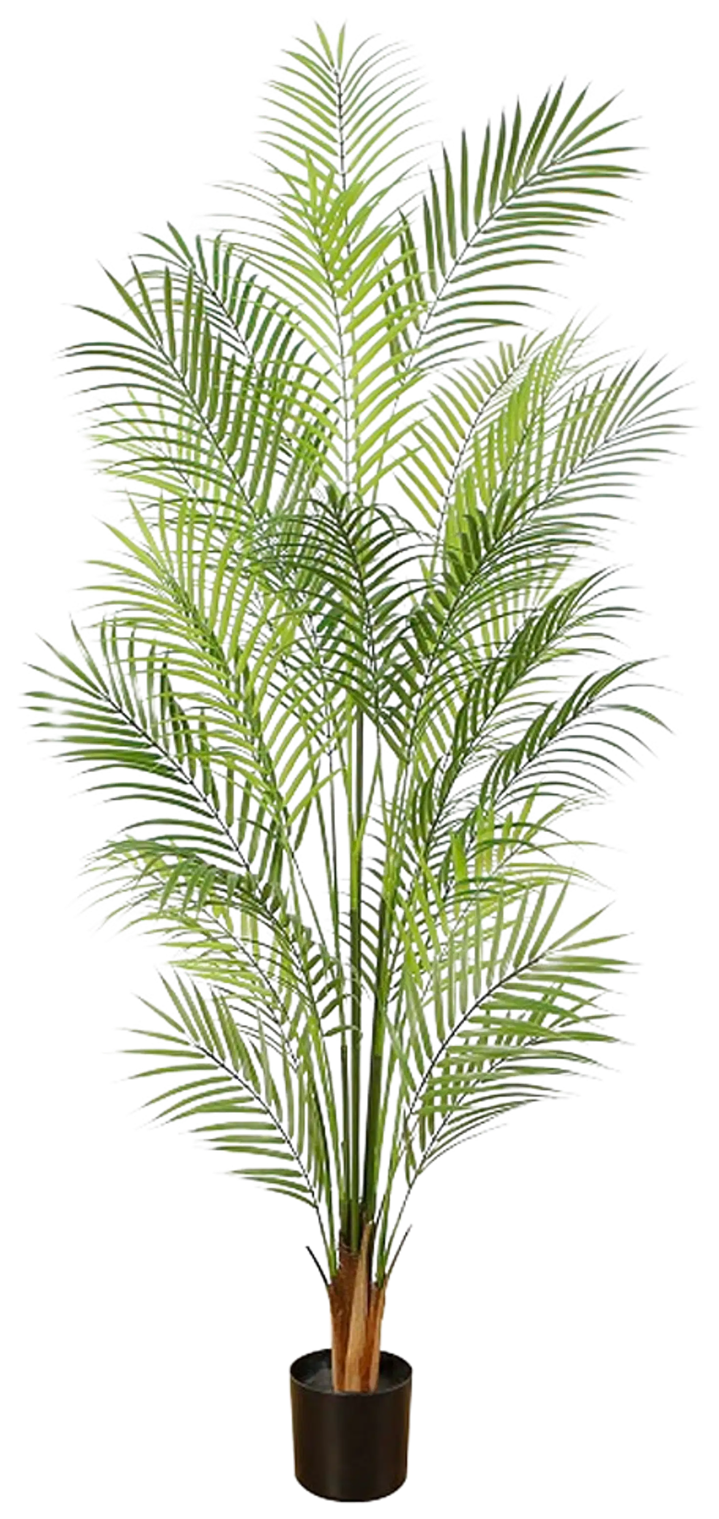 Lykke tekokasvi areca palm 150cm - 1