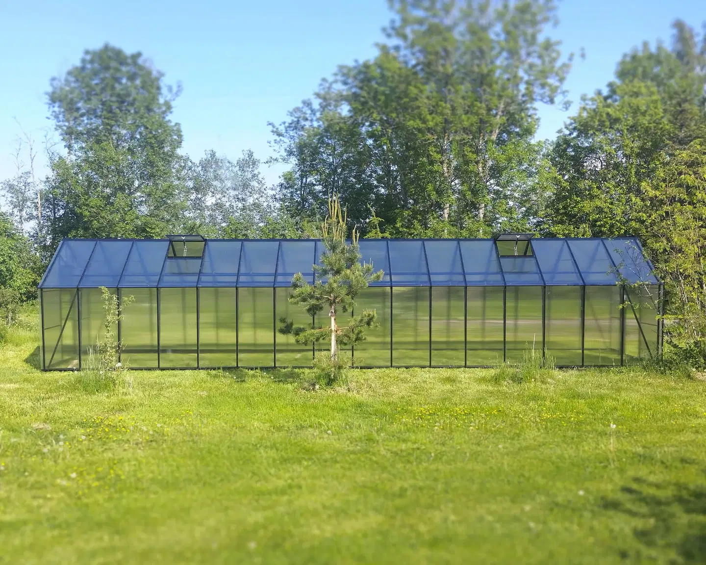 Ecoslider kasvihuone Lux 2.5 X 11.1 - 5