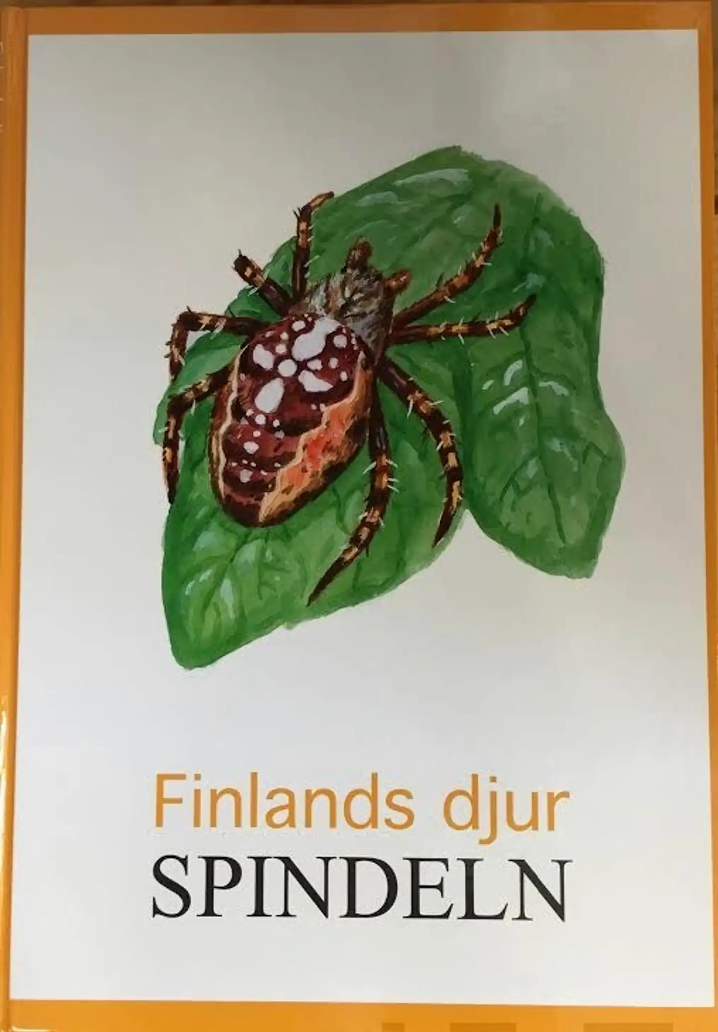 Spindeln