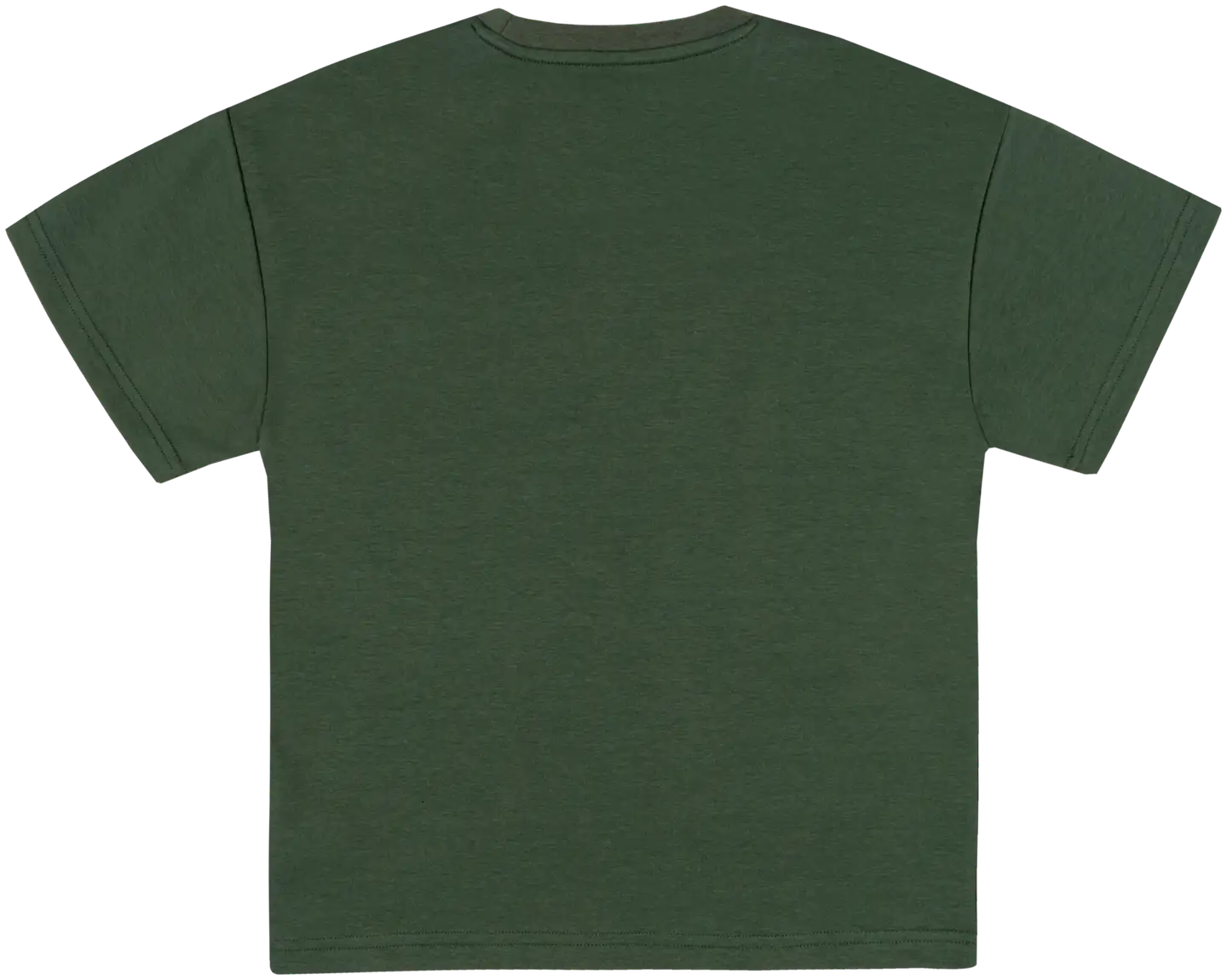 House nuorten t-paita 23PH292501 - Thyme green - 2