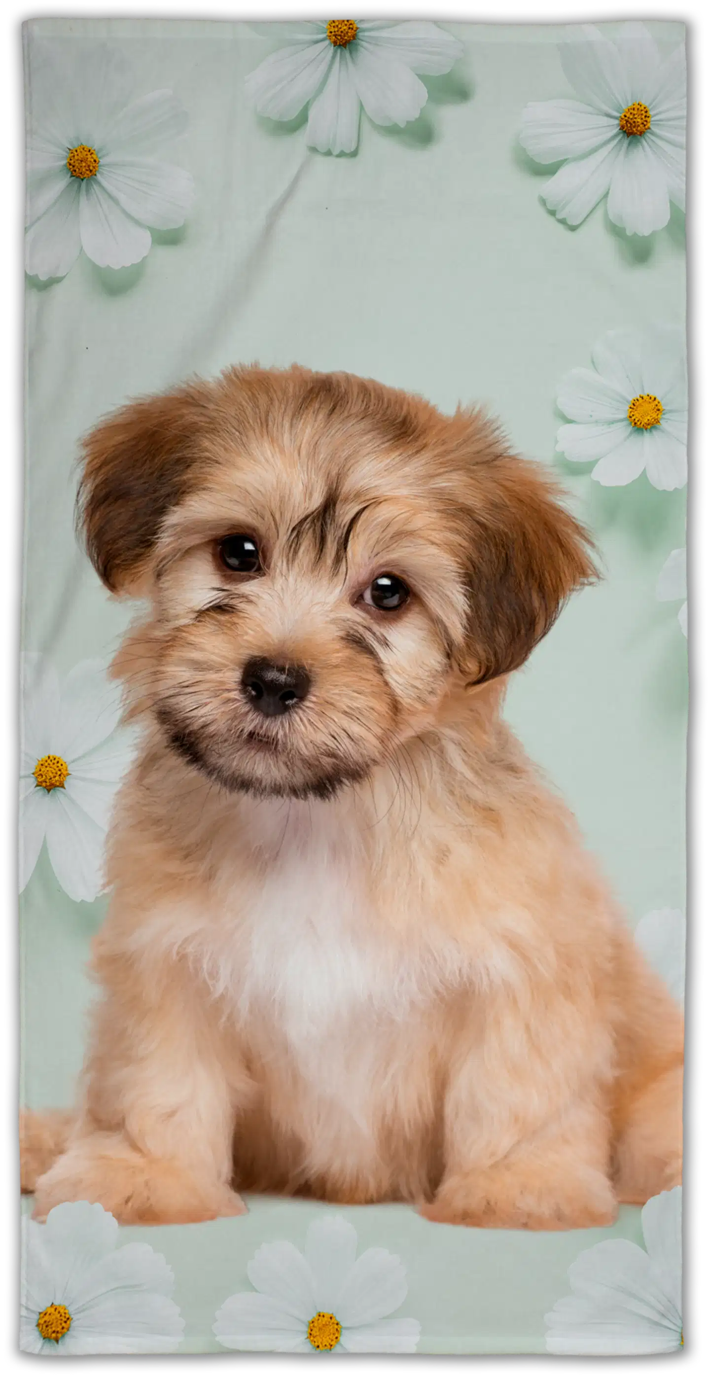 Ciraf lasten kylpypyyhe Doggy 70x140 cm - 1