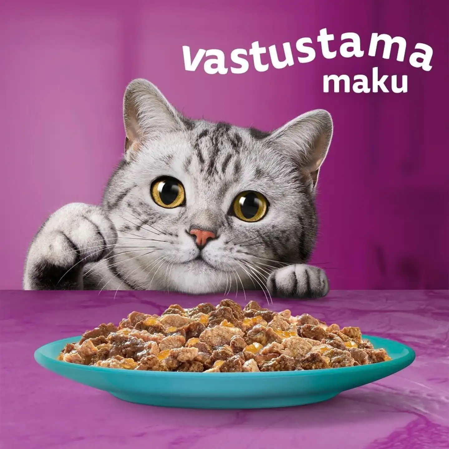 Whiskas 1+ Duo Meren Herkut hyytelössä (12 x 85 g) - 4