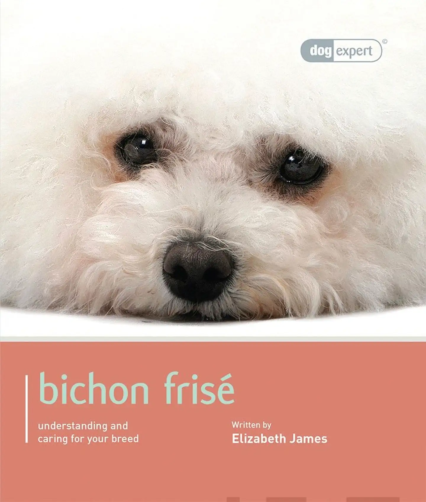 James, Bichon Frise - Understanding and caring for your breed
