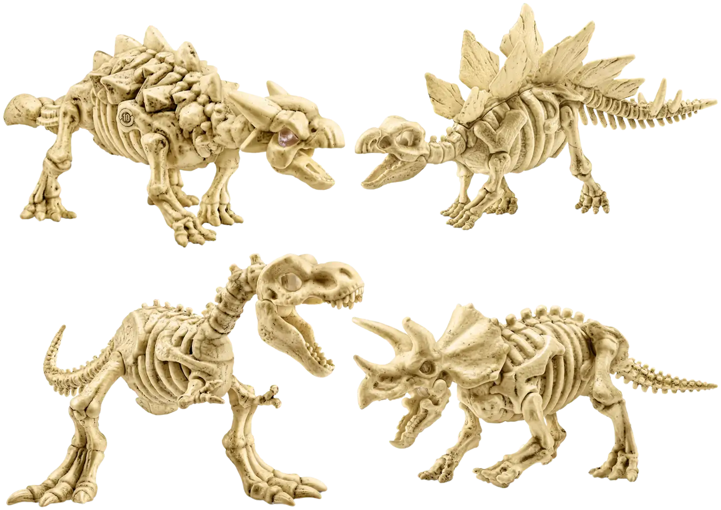 Robo Alive Fossil Find Amber Adventure - 10