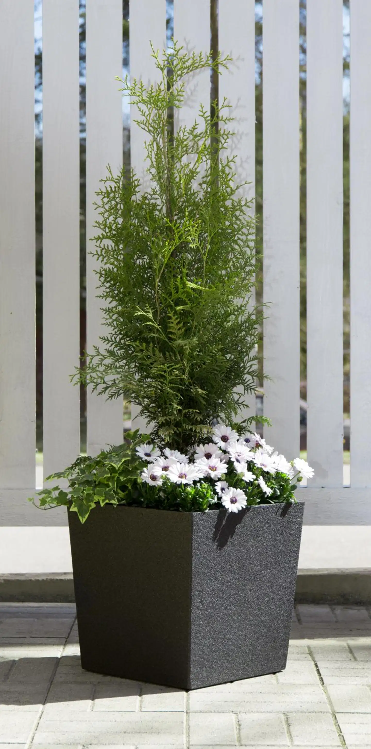 4Living Termoruukku Cubic musta 2 kpl setti - 4