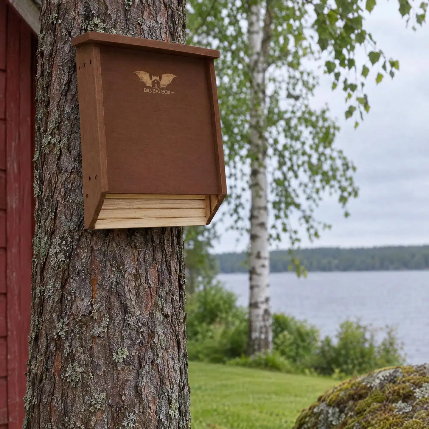 WildYard Big Bat Box lepakkopönttö, 2 kammiota, setripuu, ruskea - 2