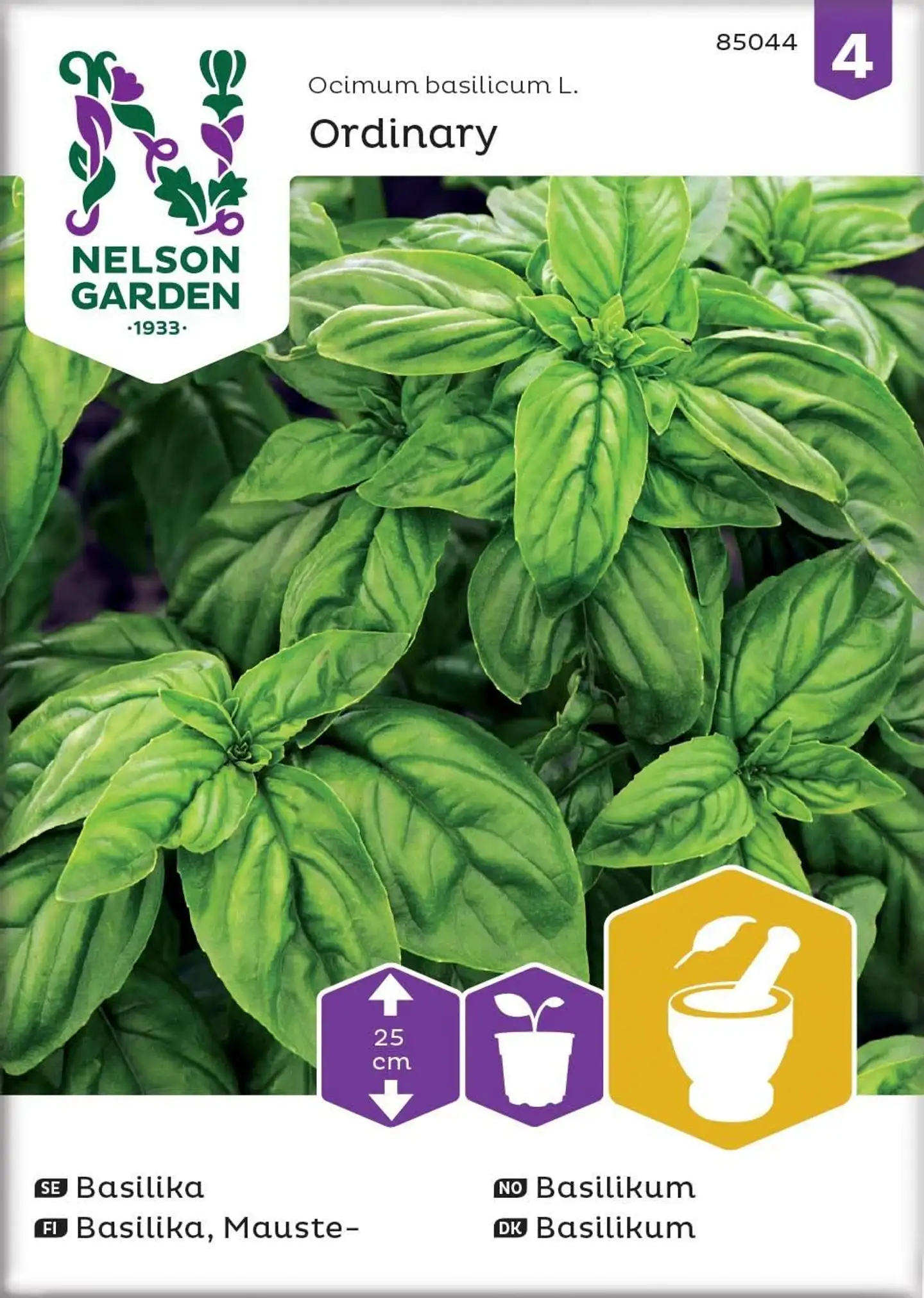 Nelson Garden Siemen Basilika, Mauste-