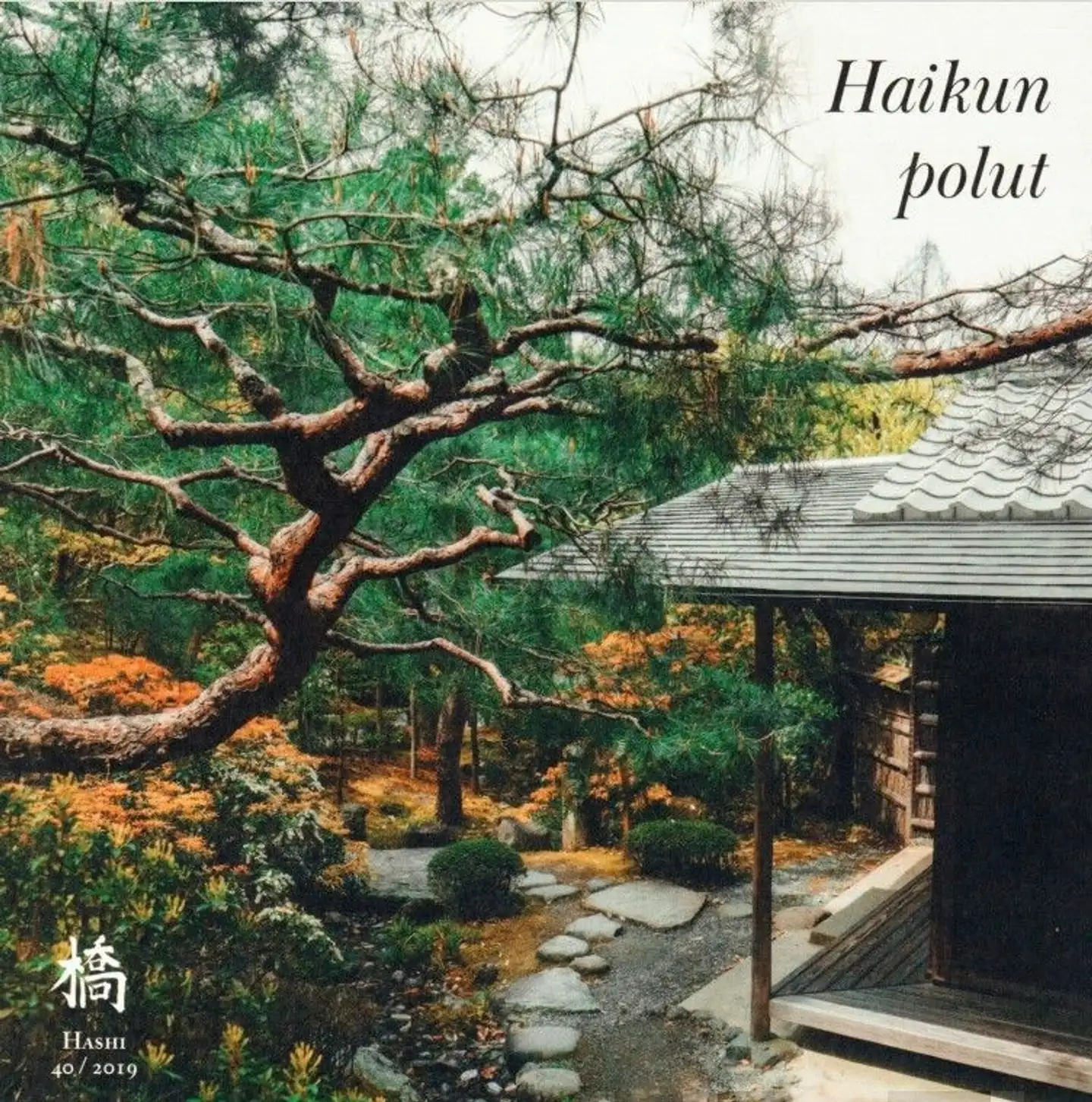 Nieminen, Haikun polut