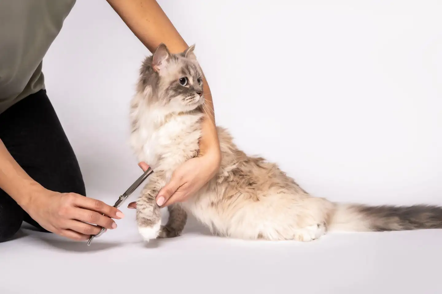 Beurer PP110 Fluffy lemmikin trimmeri - 13