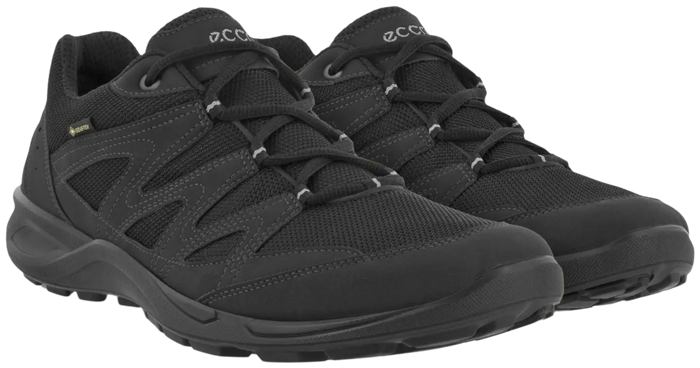 Ecco miesten ulkoilujalkine Terracruise LT GTX - Black/black - 2