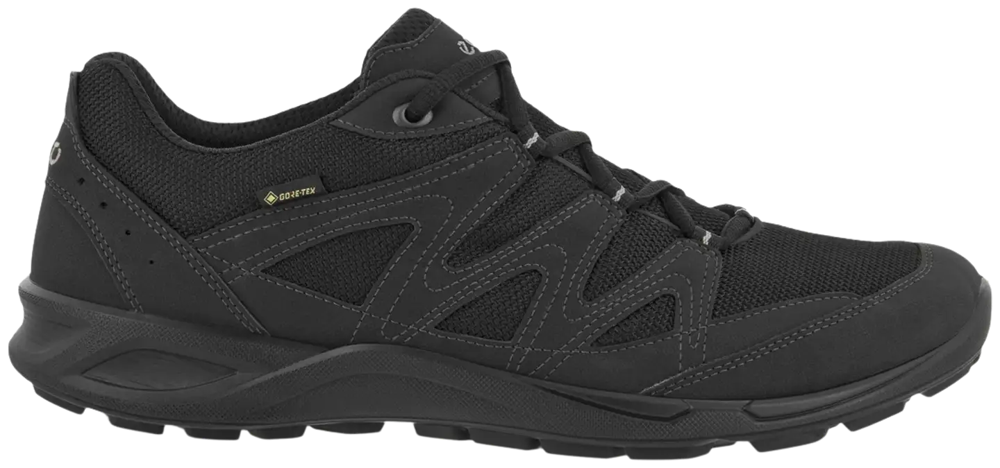 Ecco miesten ulkoilujalkine Terracruise LT GTX - Black/black - 3