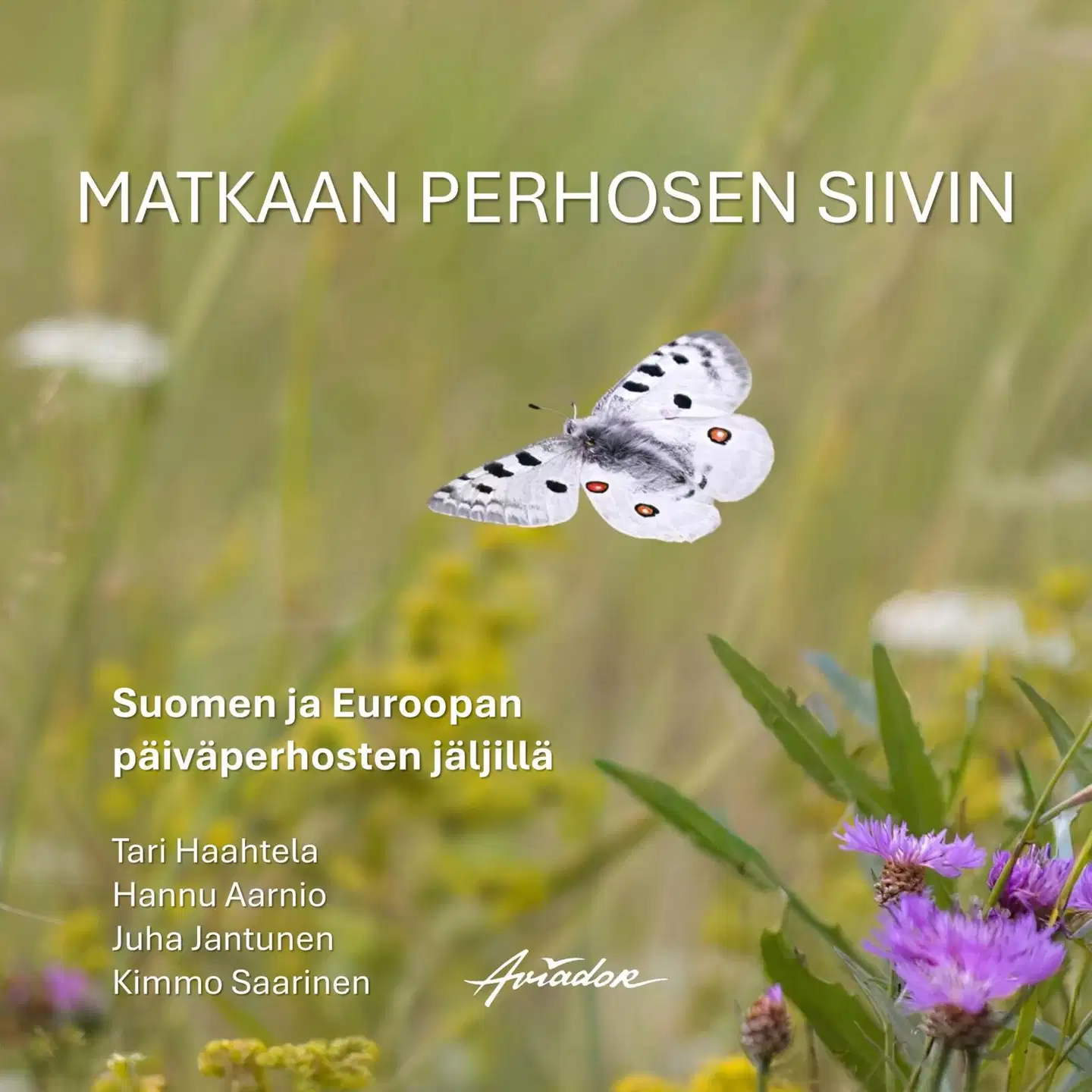 Haahtela, Matkaan perhosen siivin