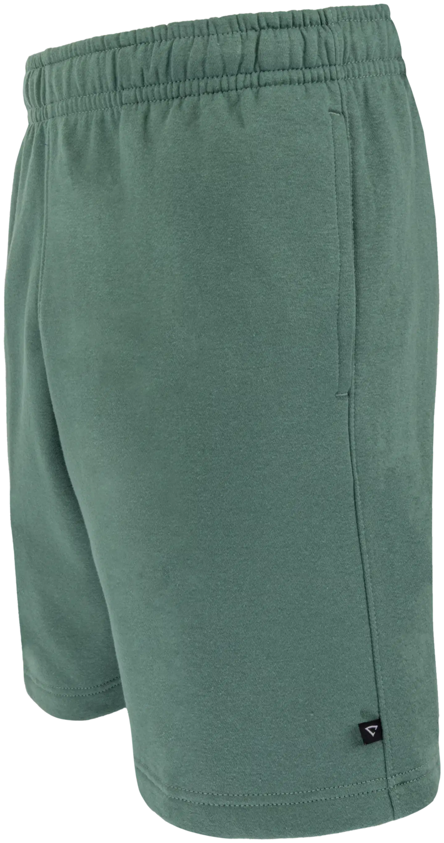 Cheetah miesten collegeshortsit CMS3707 - oak green - 2