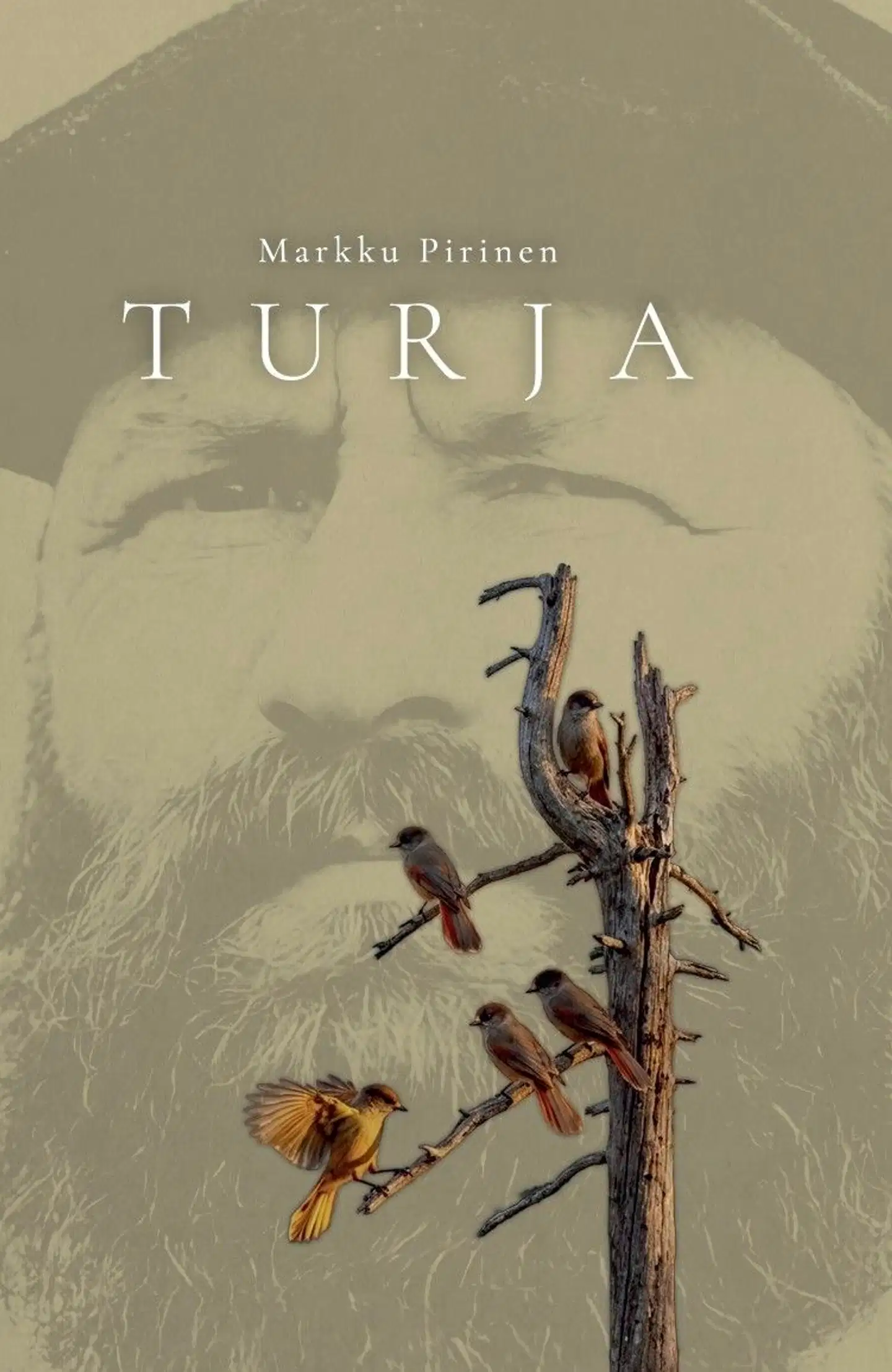 Pirinen, Turja