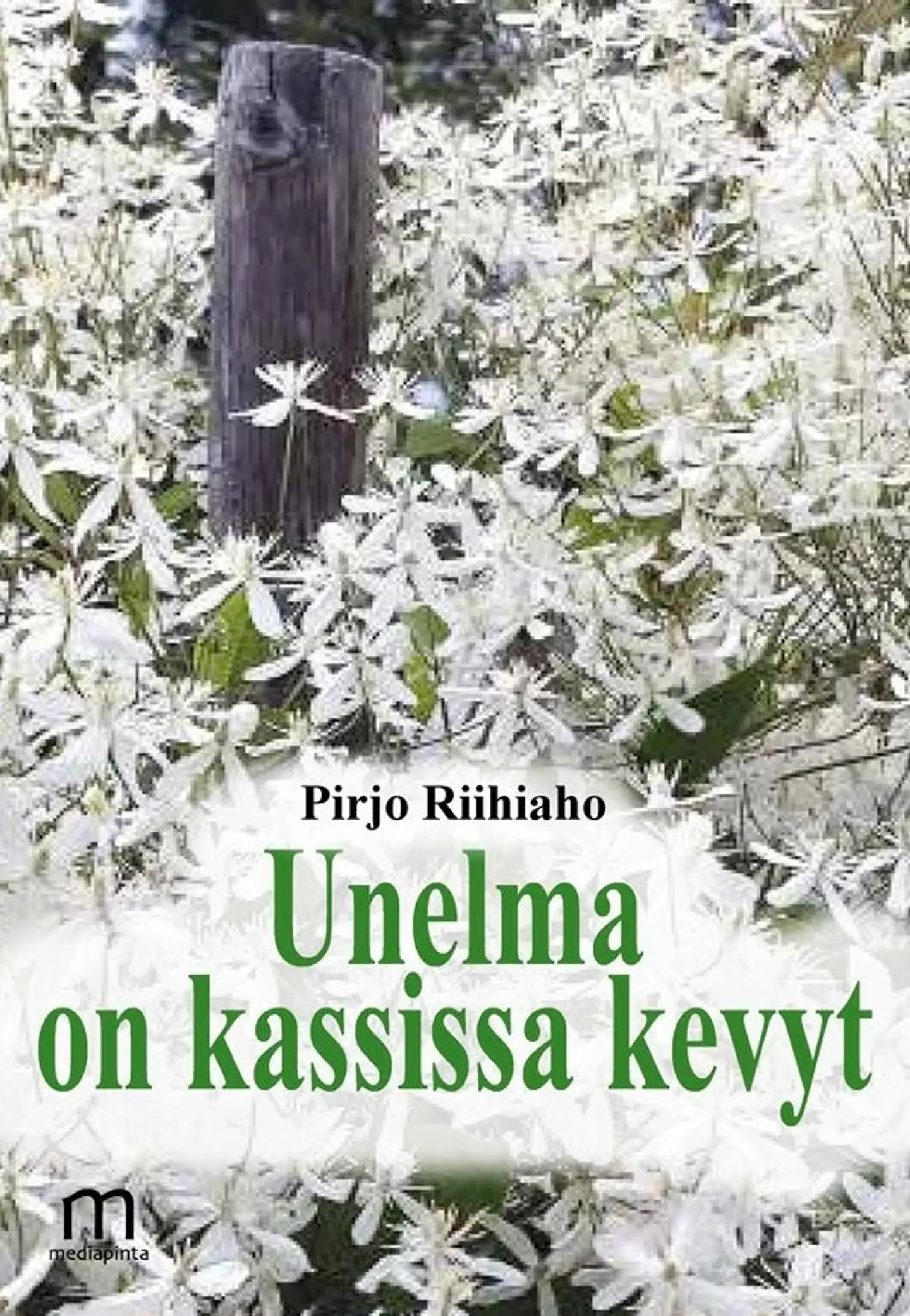 Riihiaho, Unelma on kassissa kevyt