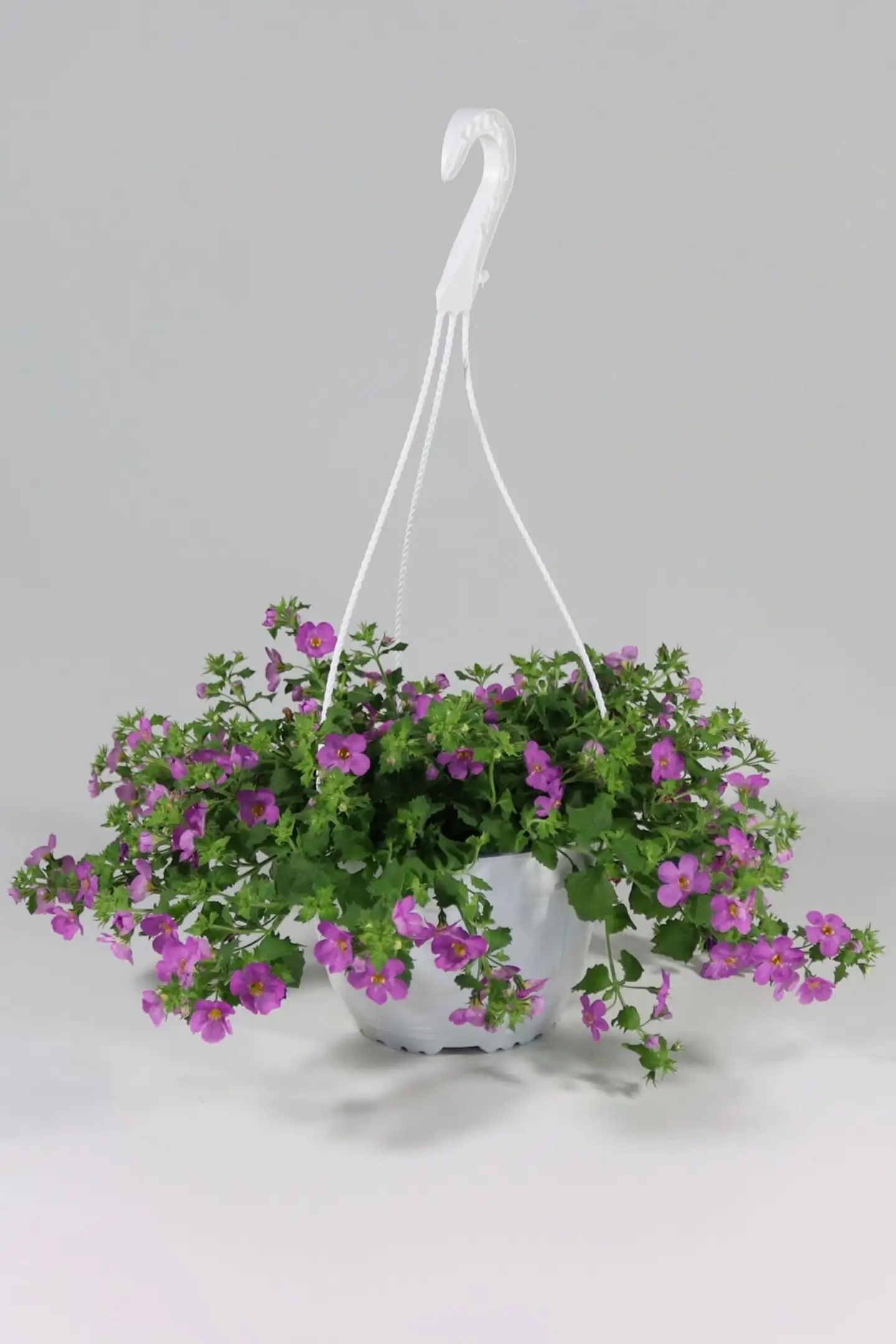 Lumihiutaleamppeli 23 cm - 5