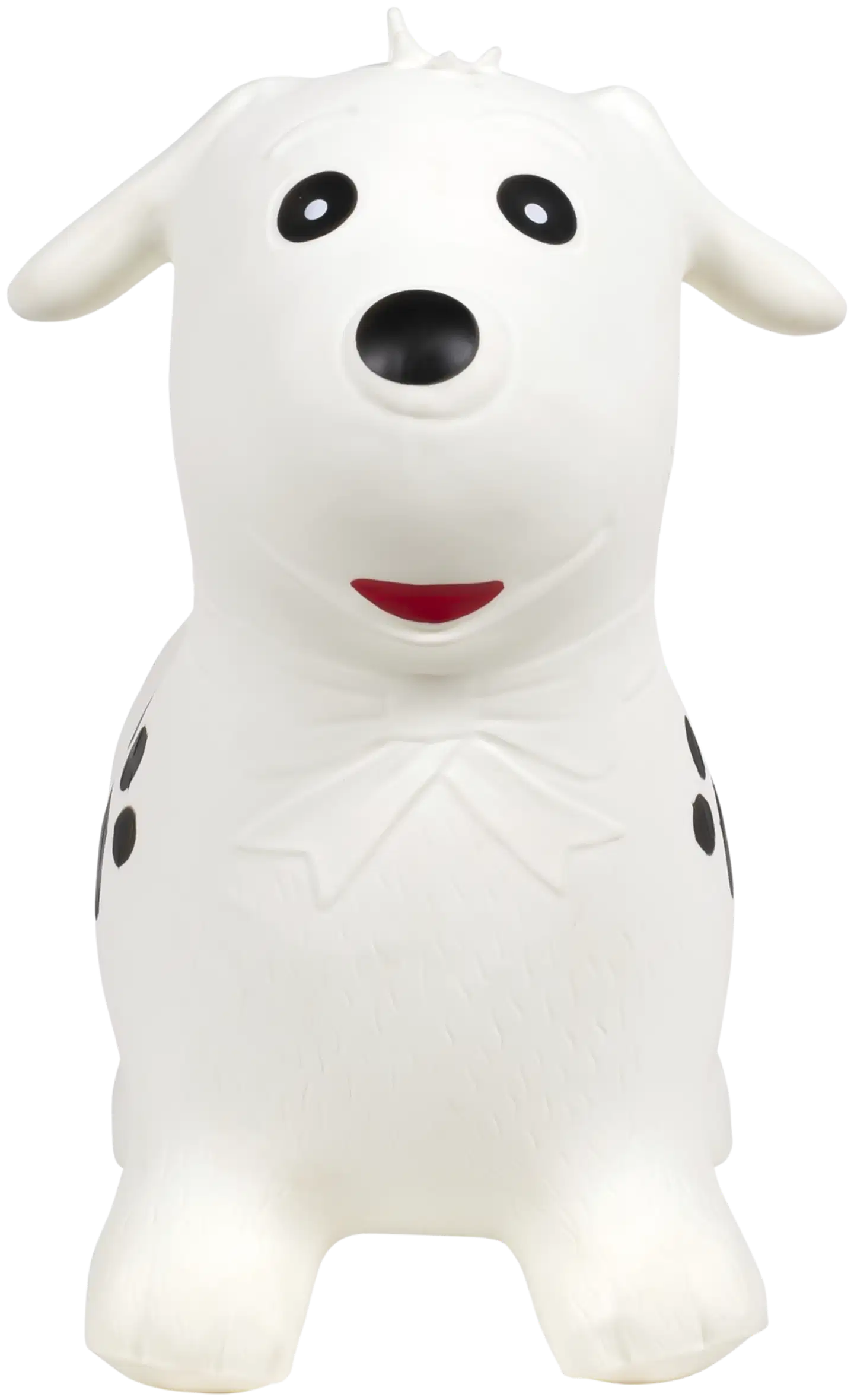 bo. Pomppudalmatialainen - 2