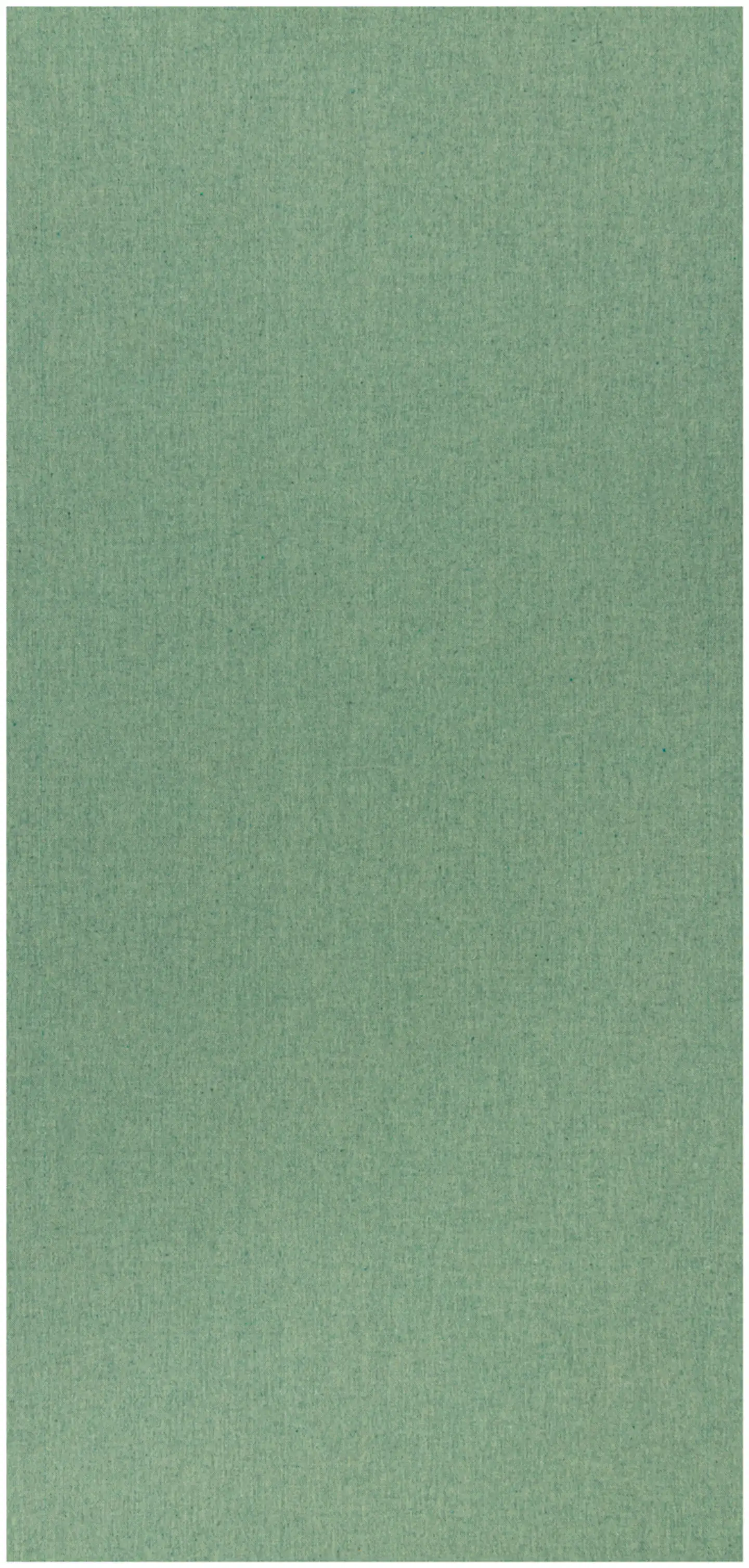 House kaitaliina Every Day 45x150 cm vihreä chambray - 1