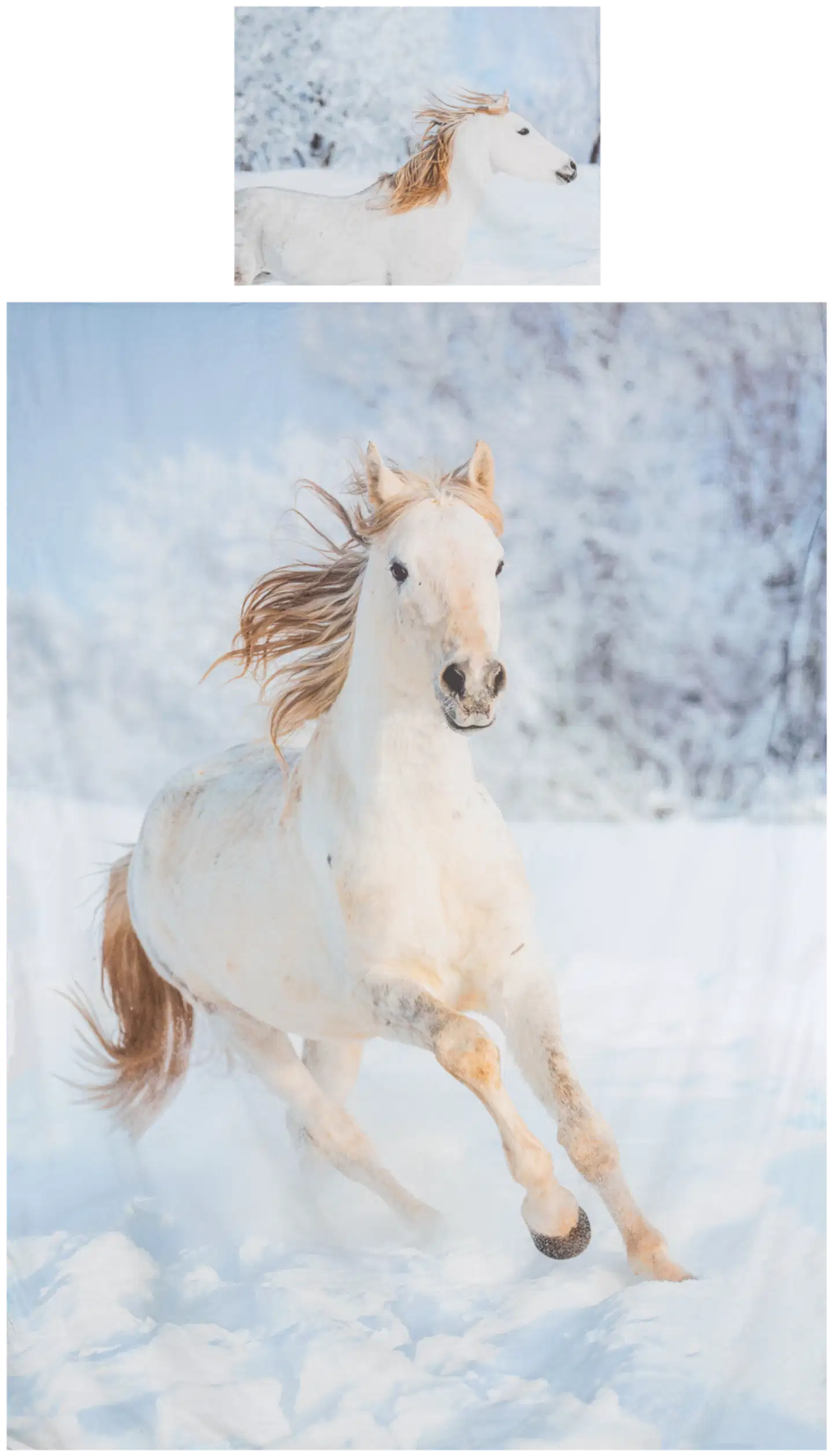 Ciraf lasten pussilakanasetti Horse digital print 150x210 cm - 1
