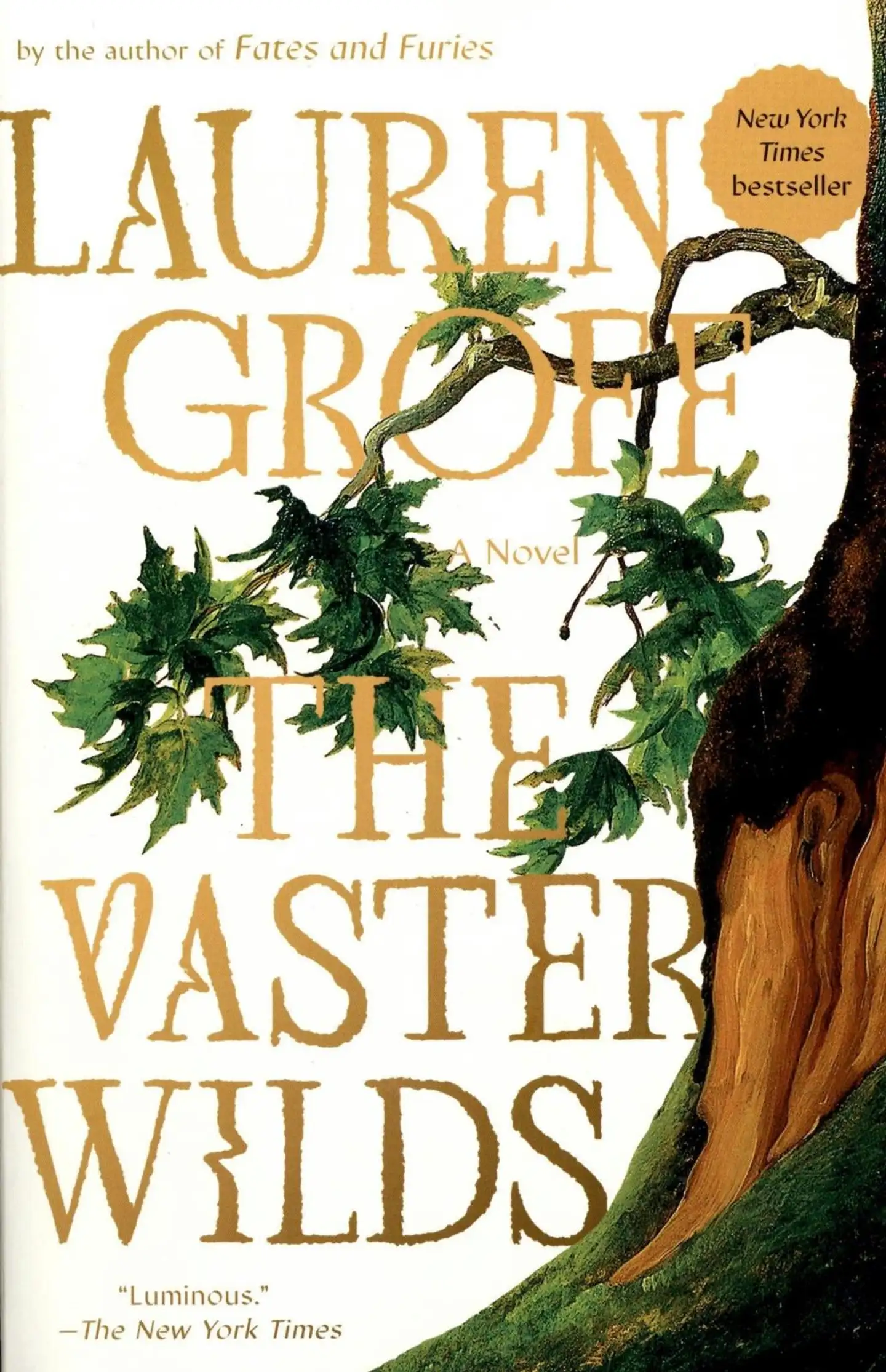 Groff, Lauren: The Vaster Wilds pokkari