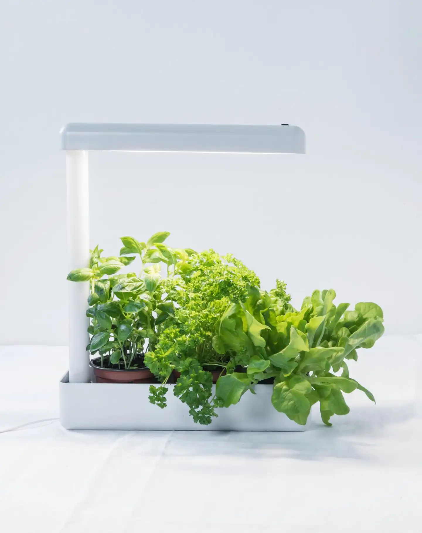 Airam HERBY PLANT 10W/840 650LM - 6