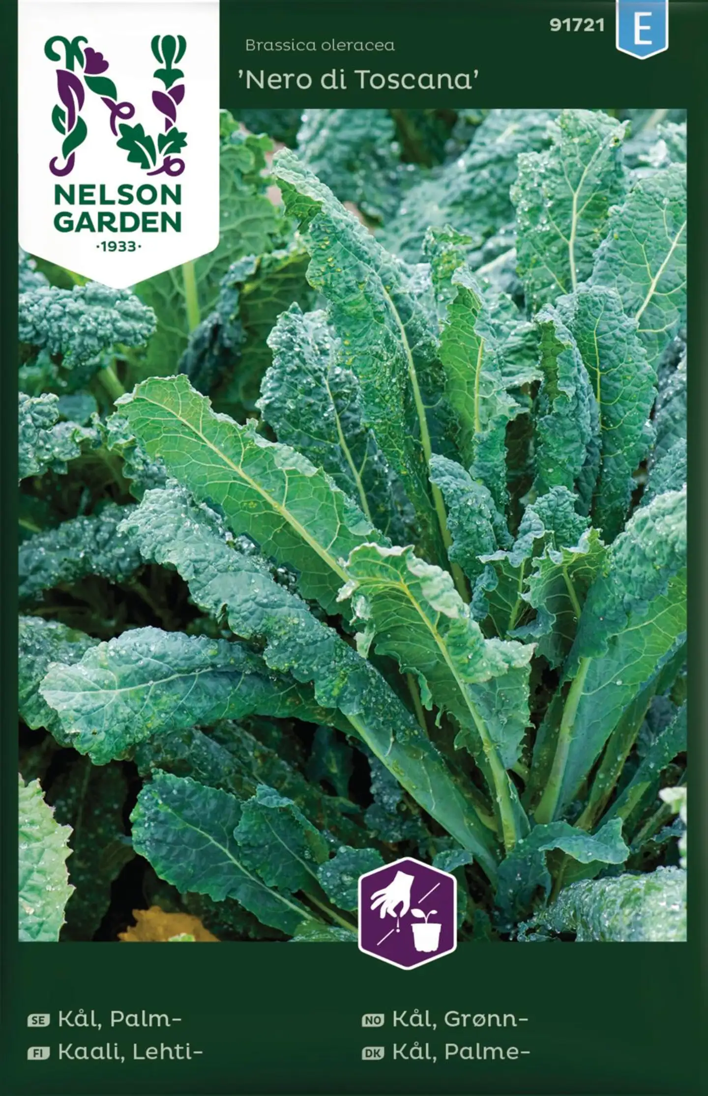 Nelson Garden Kaali, Lehti-, Nero di Toscana