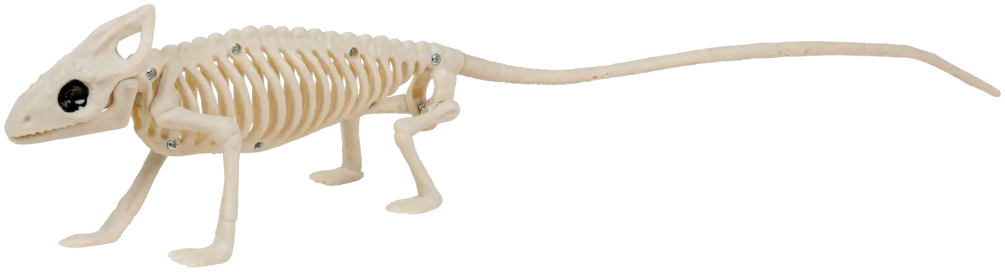 Halloween pöytäkoriste hiiren luuranko 38 cm