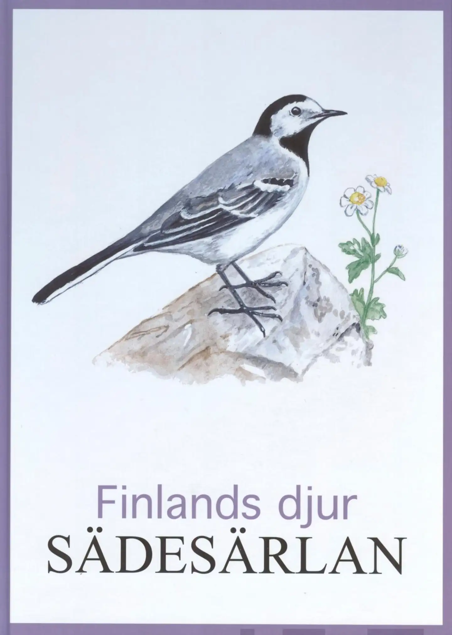 Sädesärlan