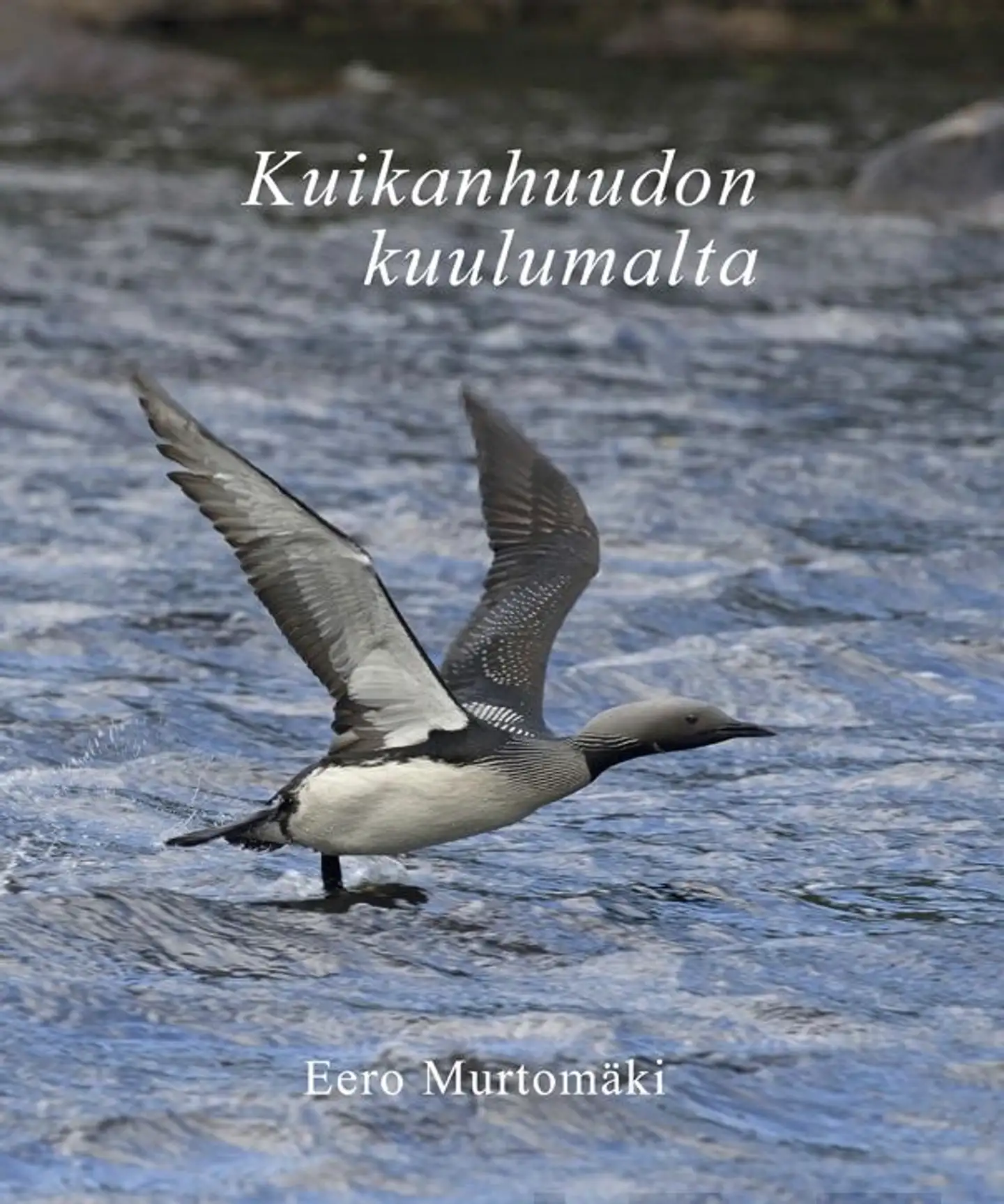 Murtomäki, Kuikanhuudon kuulumalta