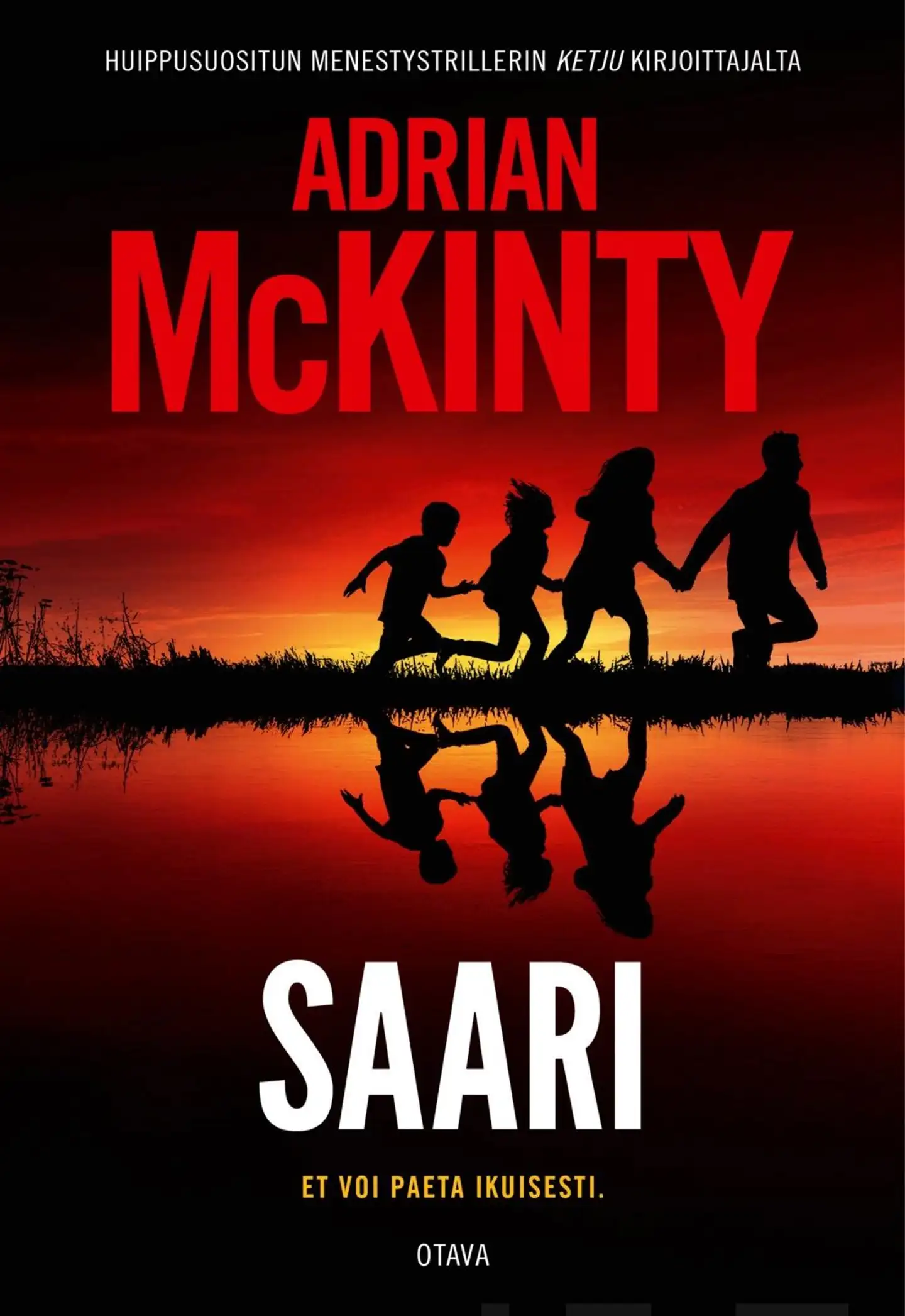 McKinty, Saari