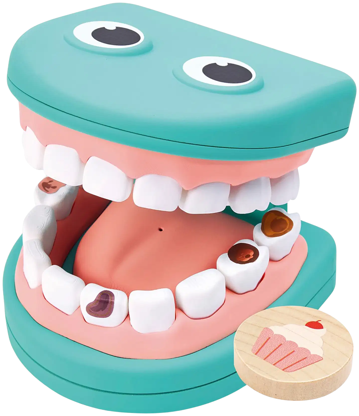 Hape Hammaslääkärileikki - 3