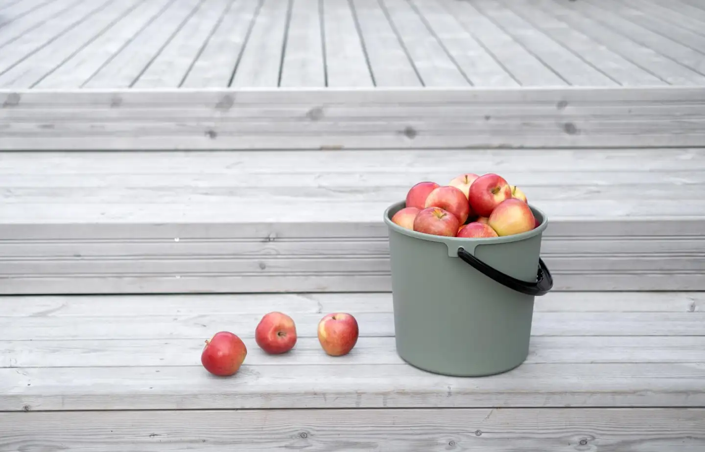 Orthex sanko 10 L - 5