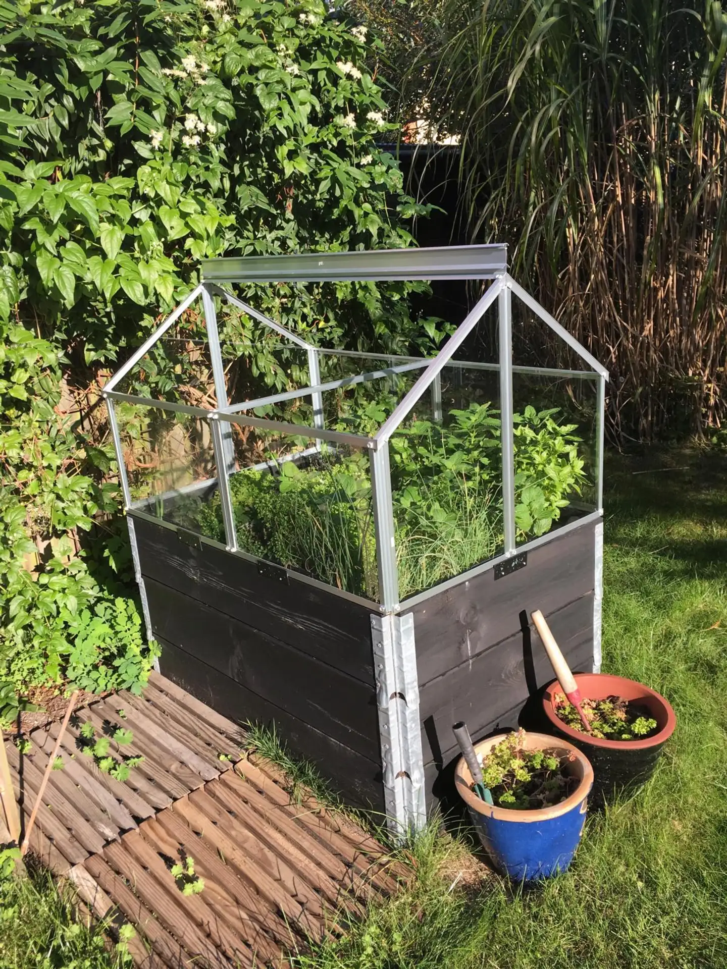 Gaia Jumbo 0,96 m2 kasvihuone - 2