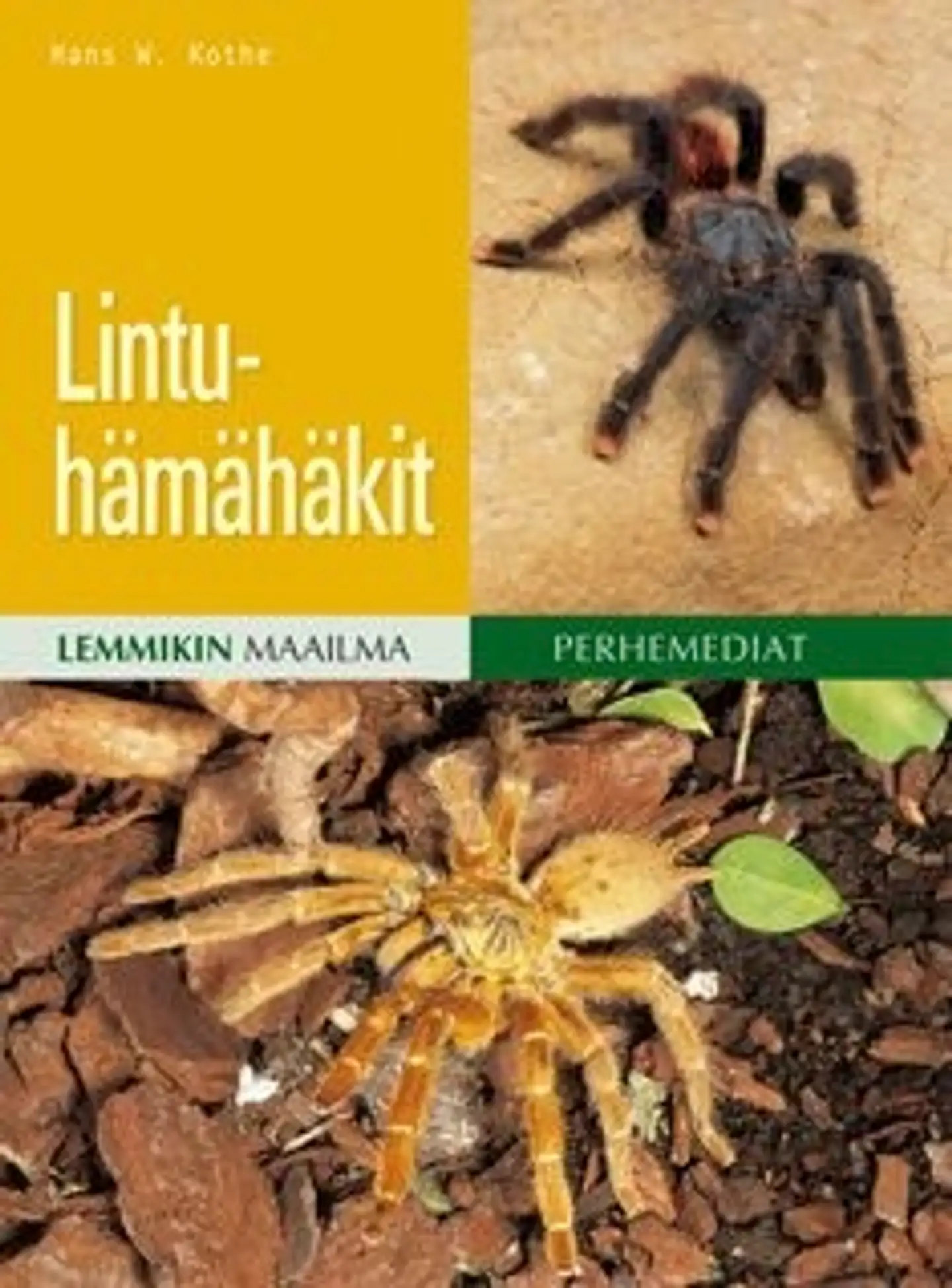 Kothe, Lintuhämähäkit