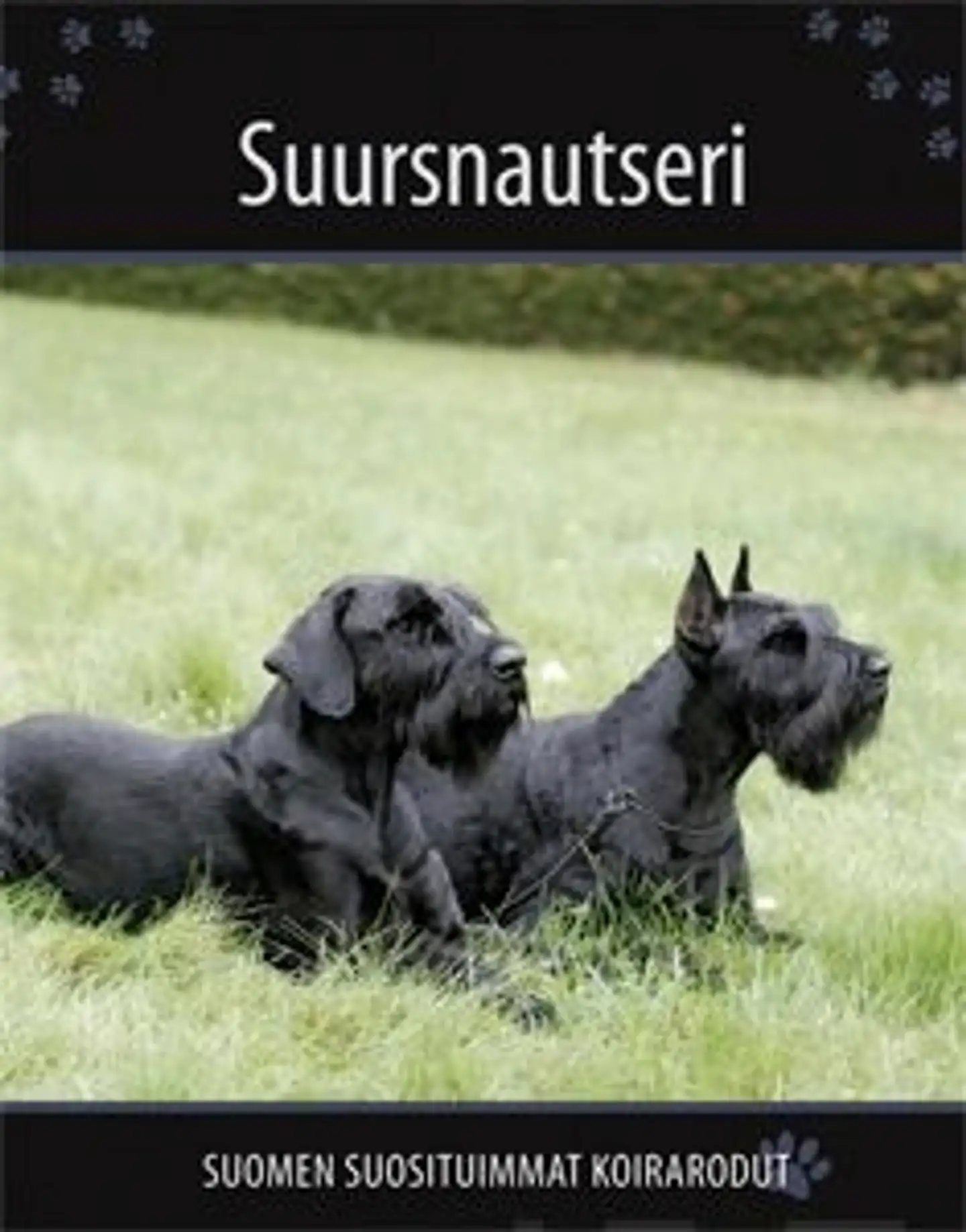Suursnautseri