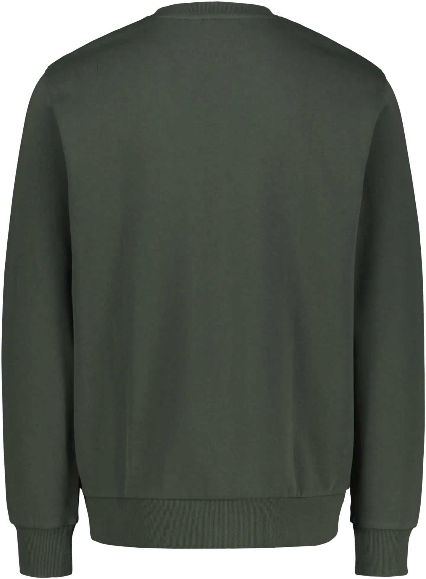 Finlayson miesten collegepusero Elefantti - Green - 2