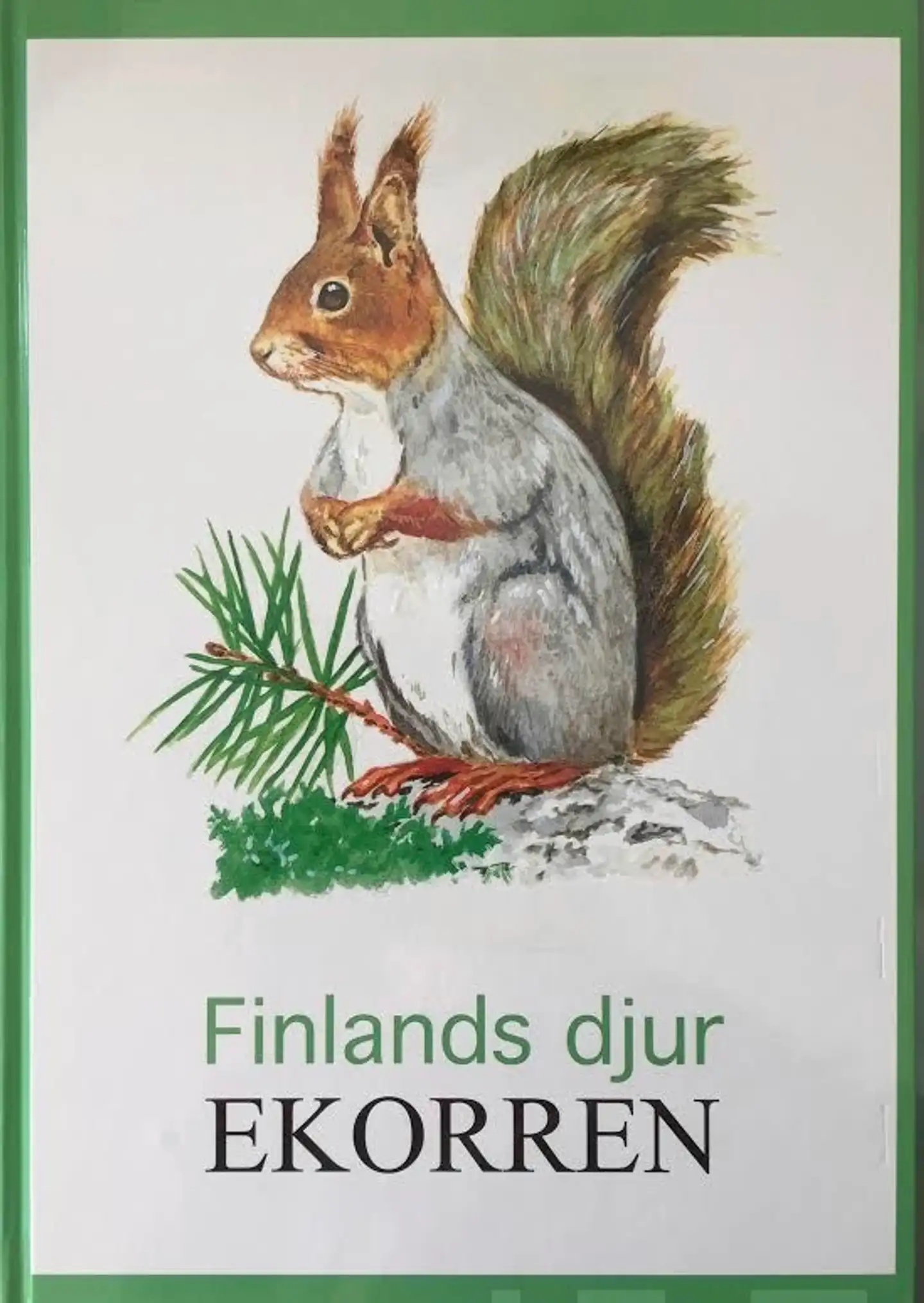Ekorren