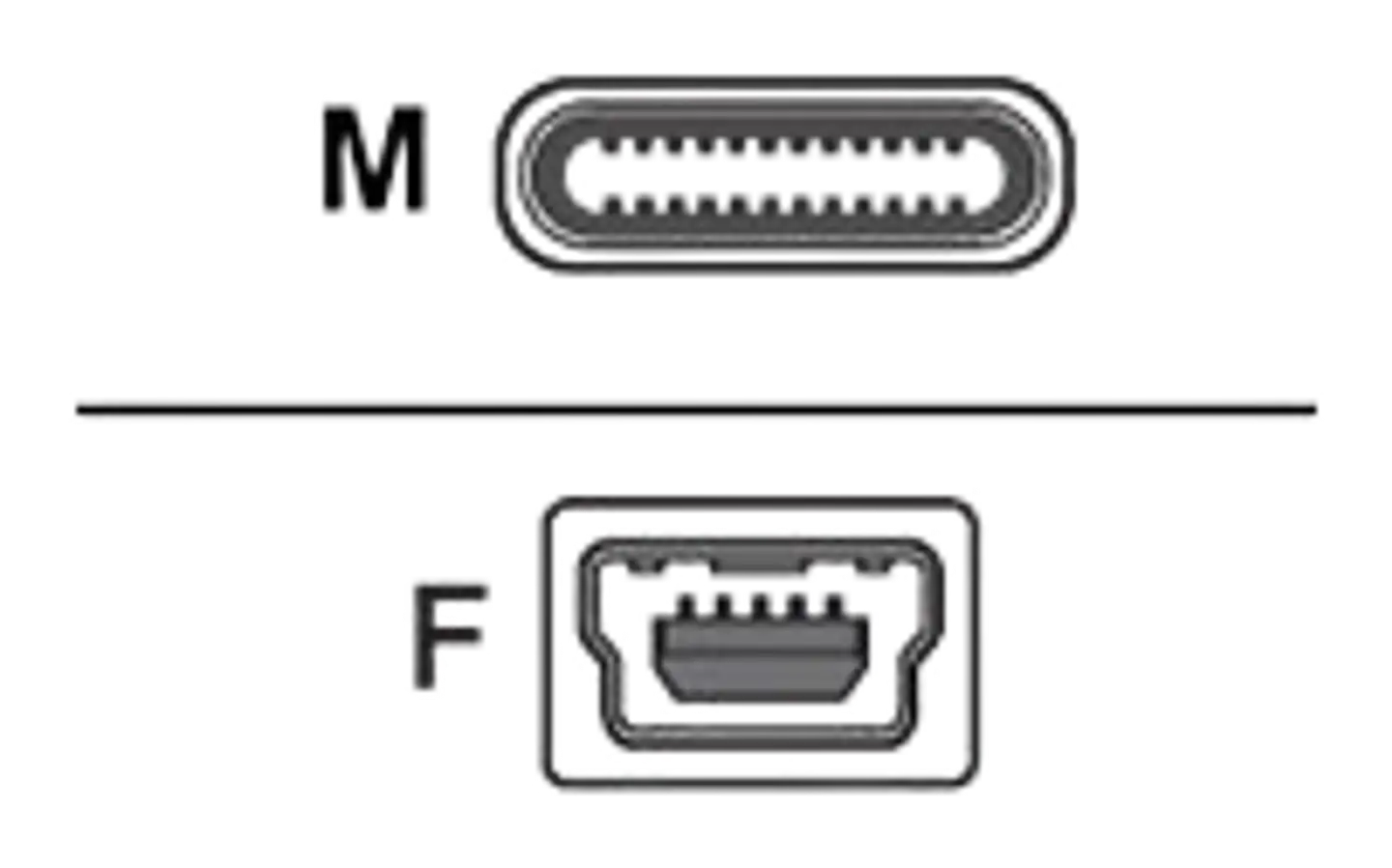 Huawei adapteri AP52 micro-USB/USB-C - 6