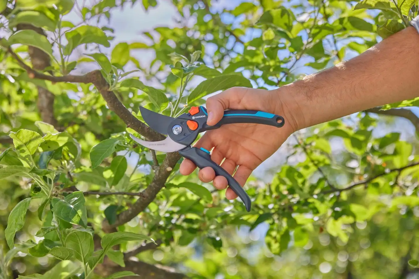 Gardena oksasakset  premiumcut pro flex - 3