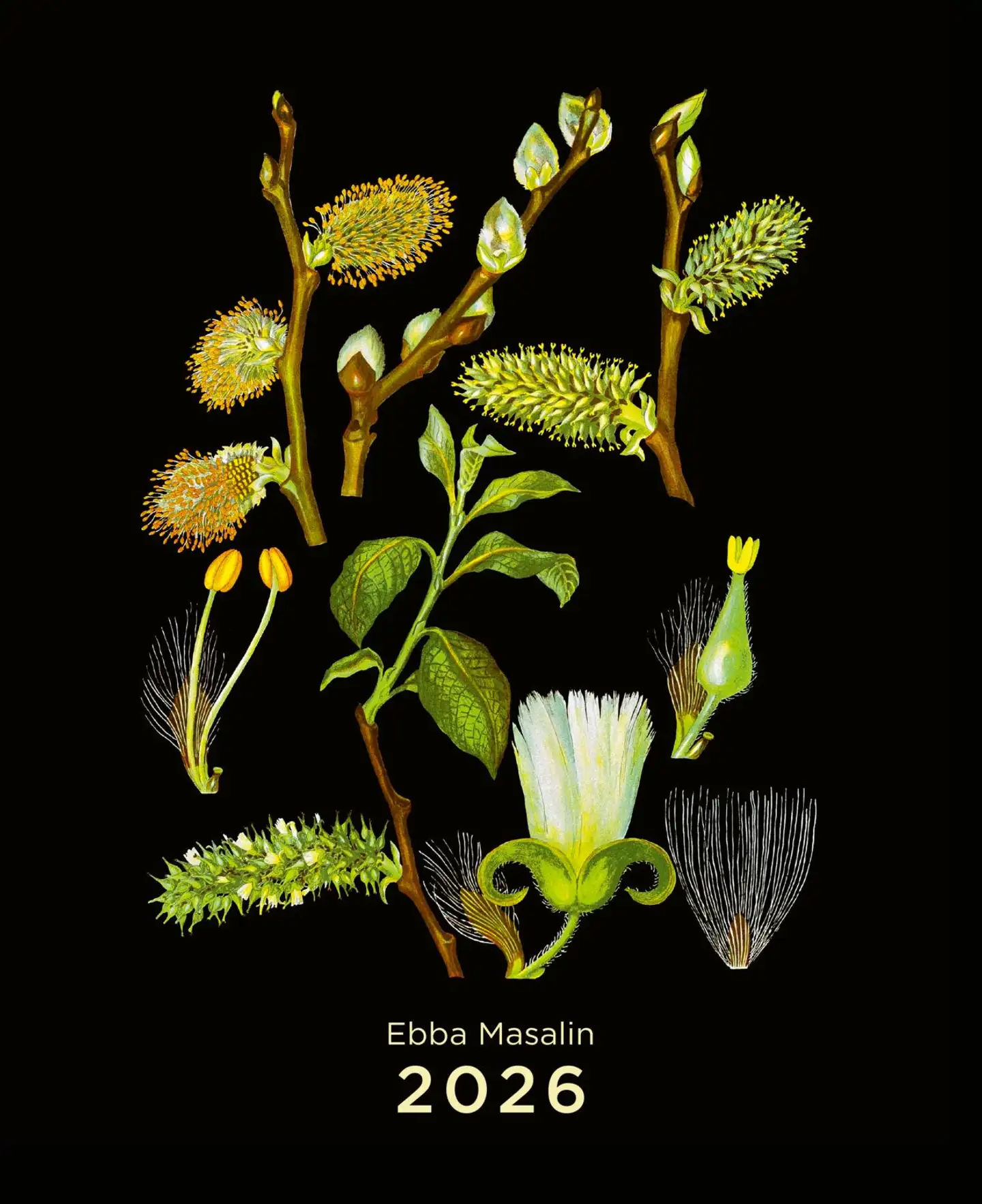 Ebba Masalin seinäkalenteri 2026