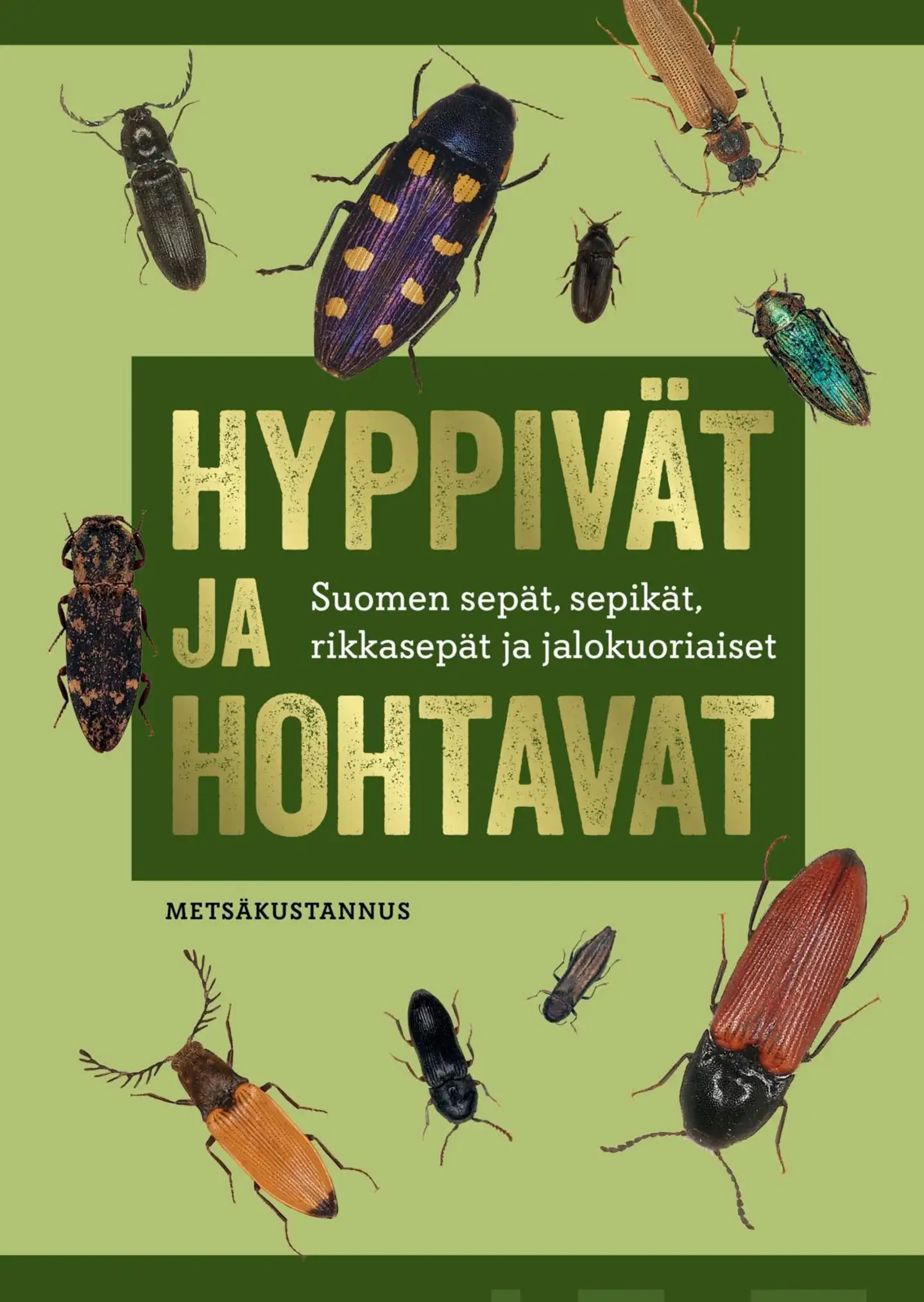 Heliövaara, Hyppivät ja hohtavat - Suomen sepät, sepikät, rikkasepät ja jalokuoriaiset