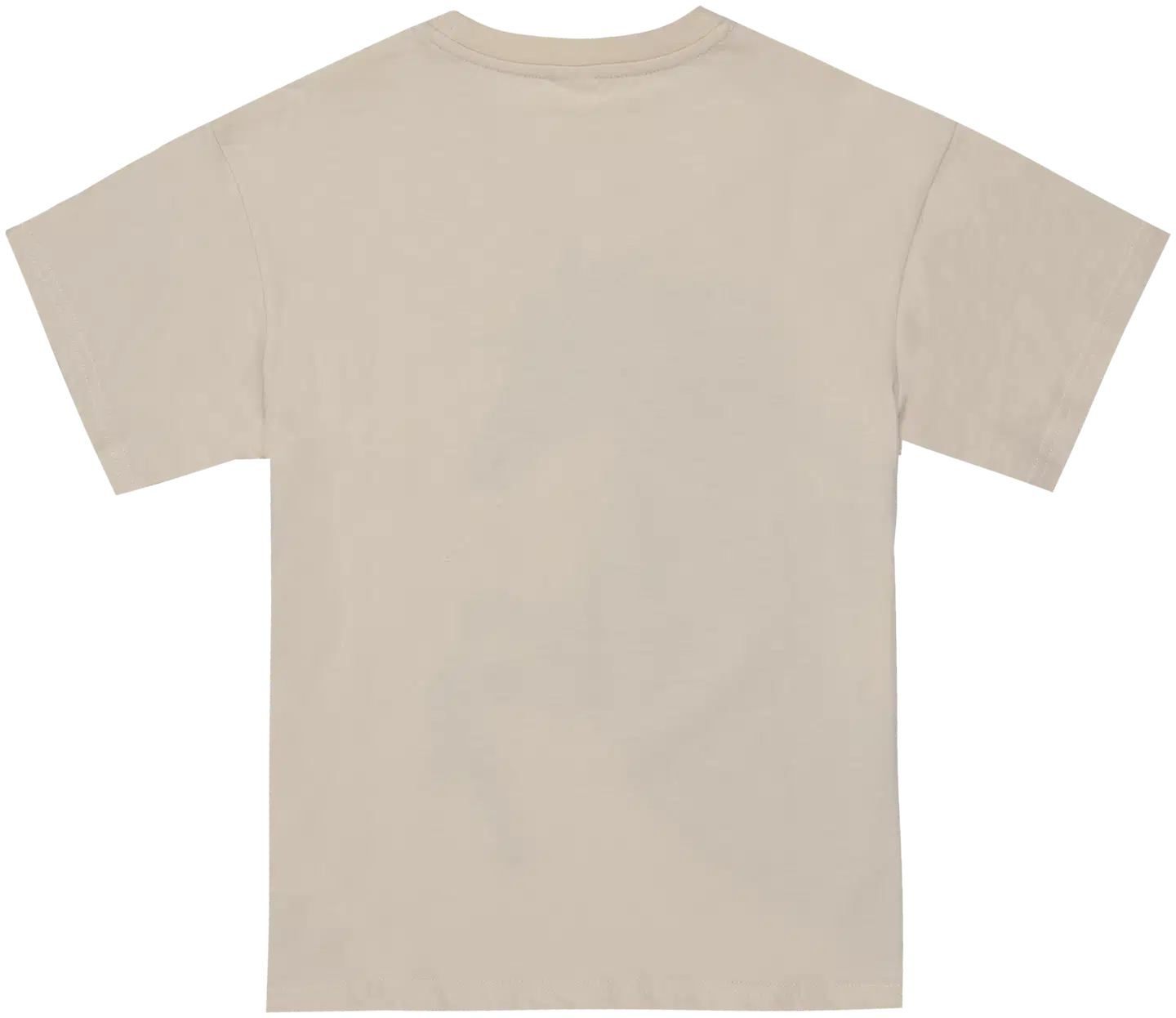 House lasten t-paita 23TH292604 - Whitegap gray - 2