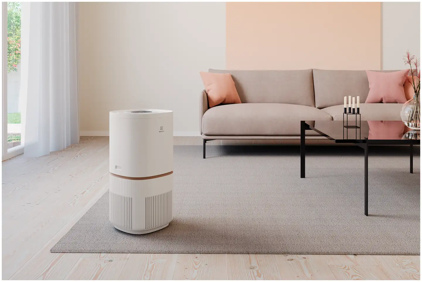 Electrolux ilmanpuhdistin EPO50571SW - 5