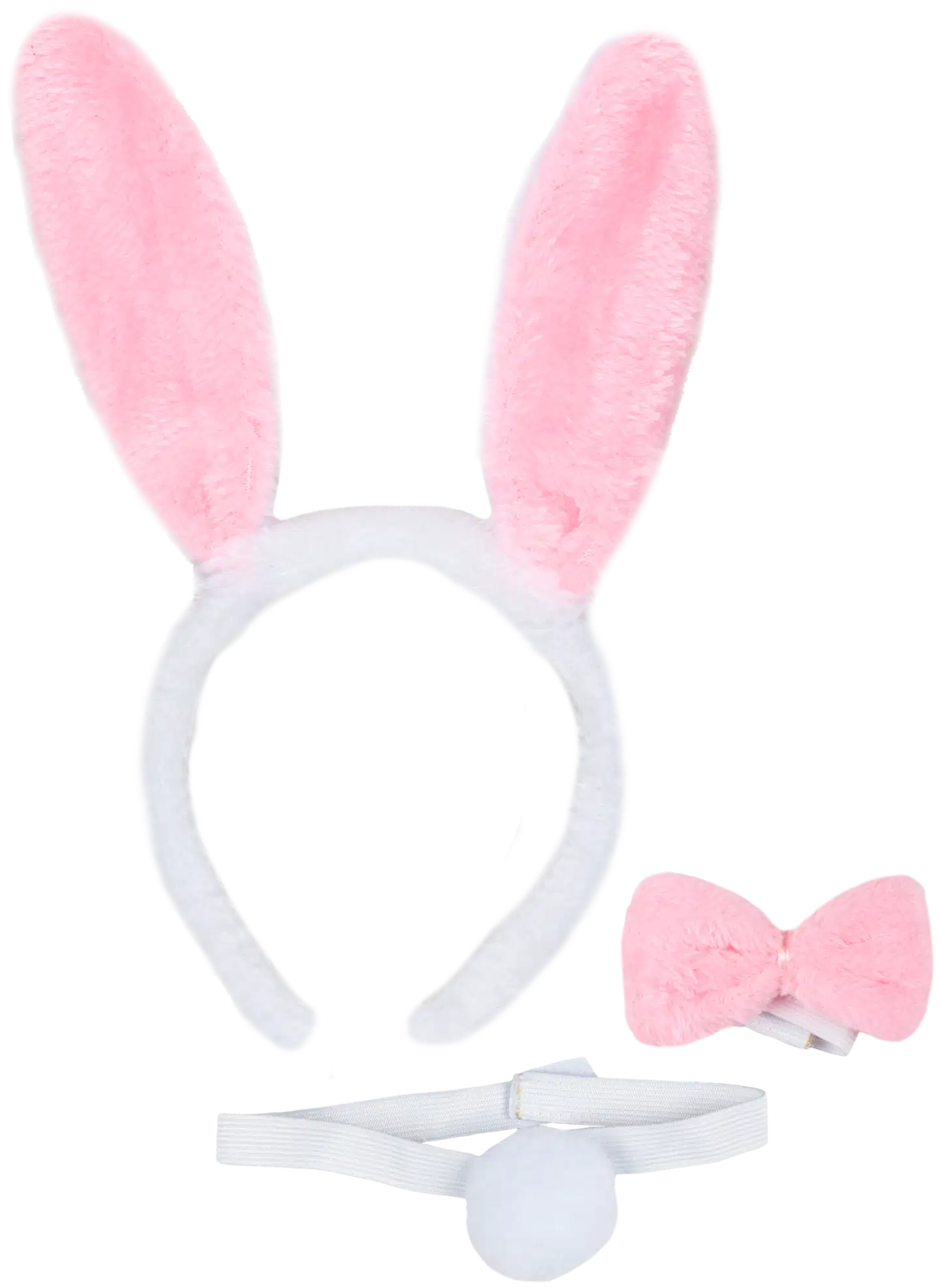 House lasten pupuasu