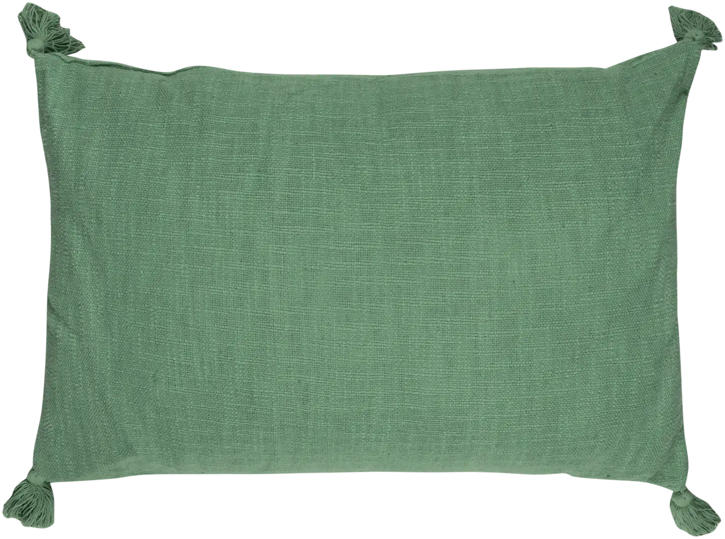 House sisustustyyny Solid 40x60 cm vihreä - 1