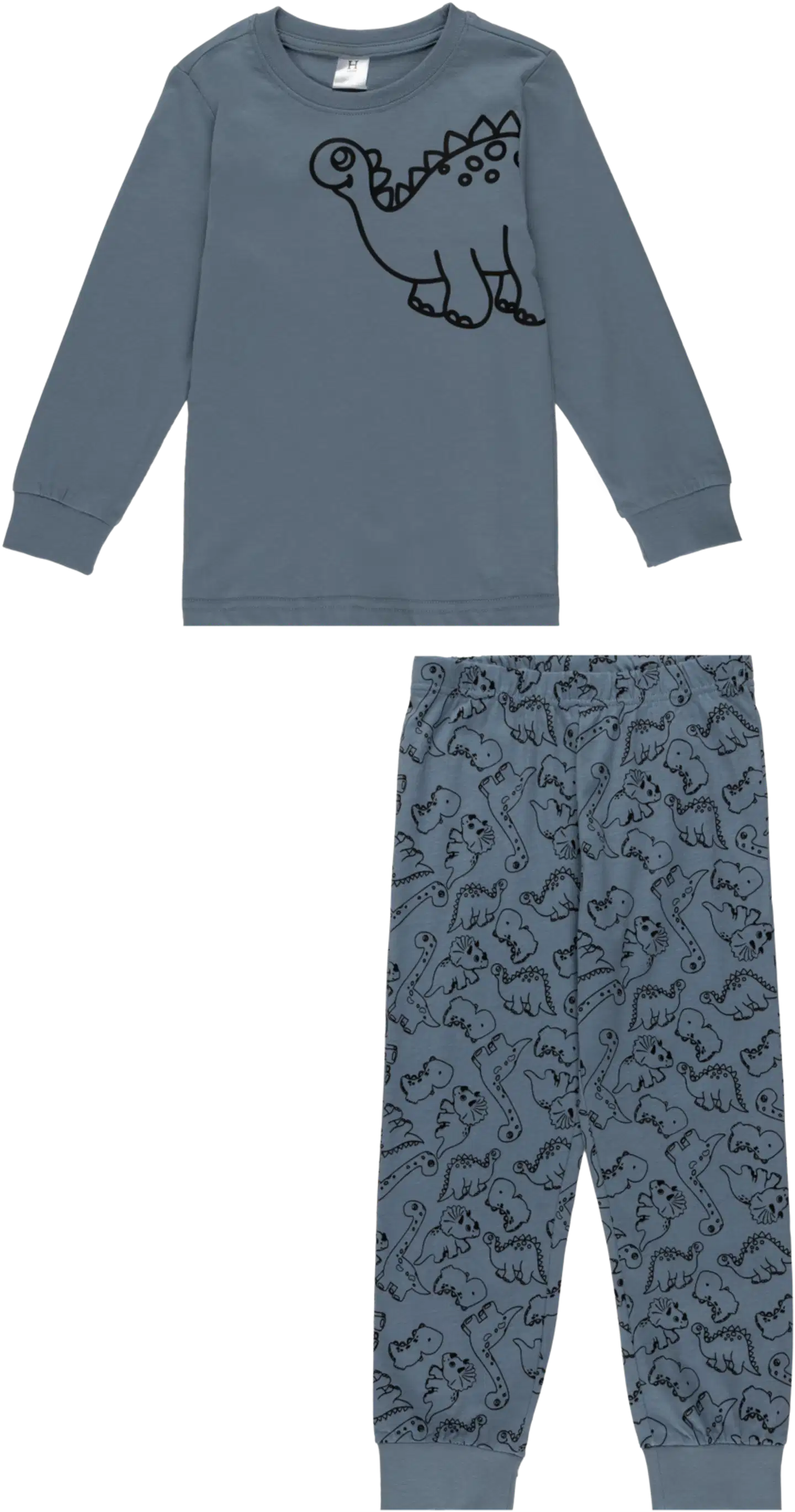 House lasten pyjama dino 232H382614 - Windward Blue - 1