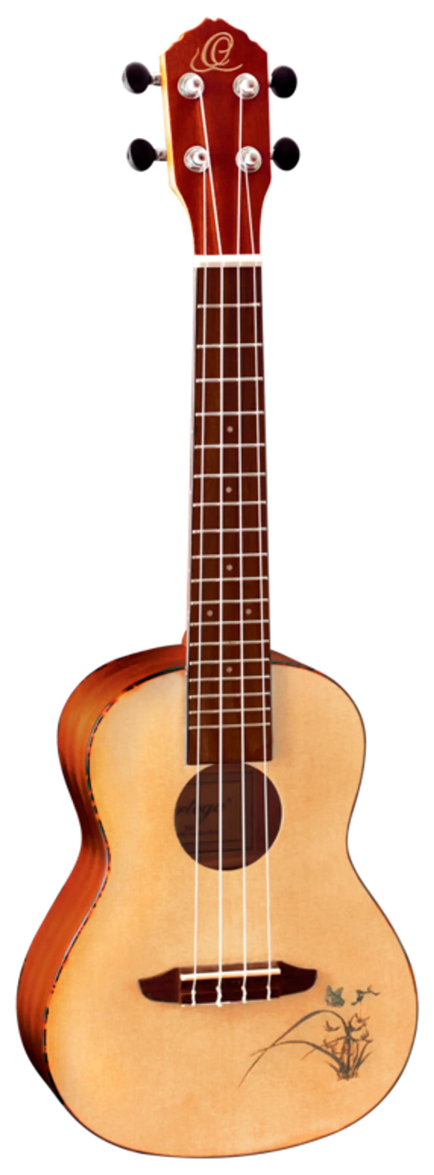 Ortega konserttiukulele RU5
